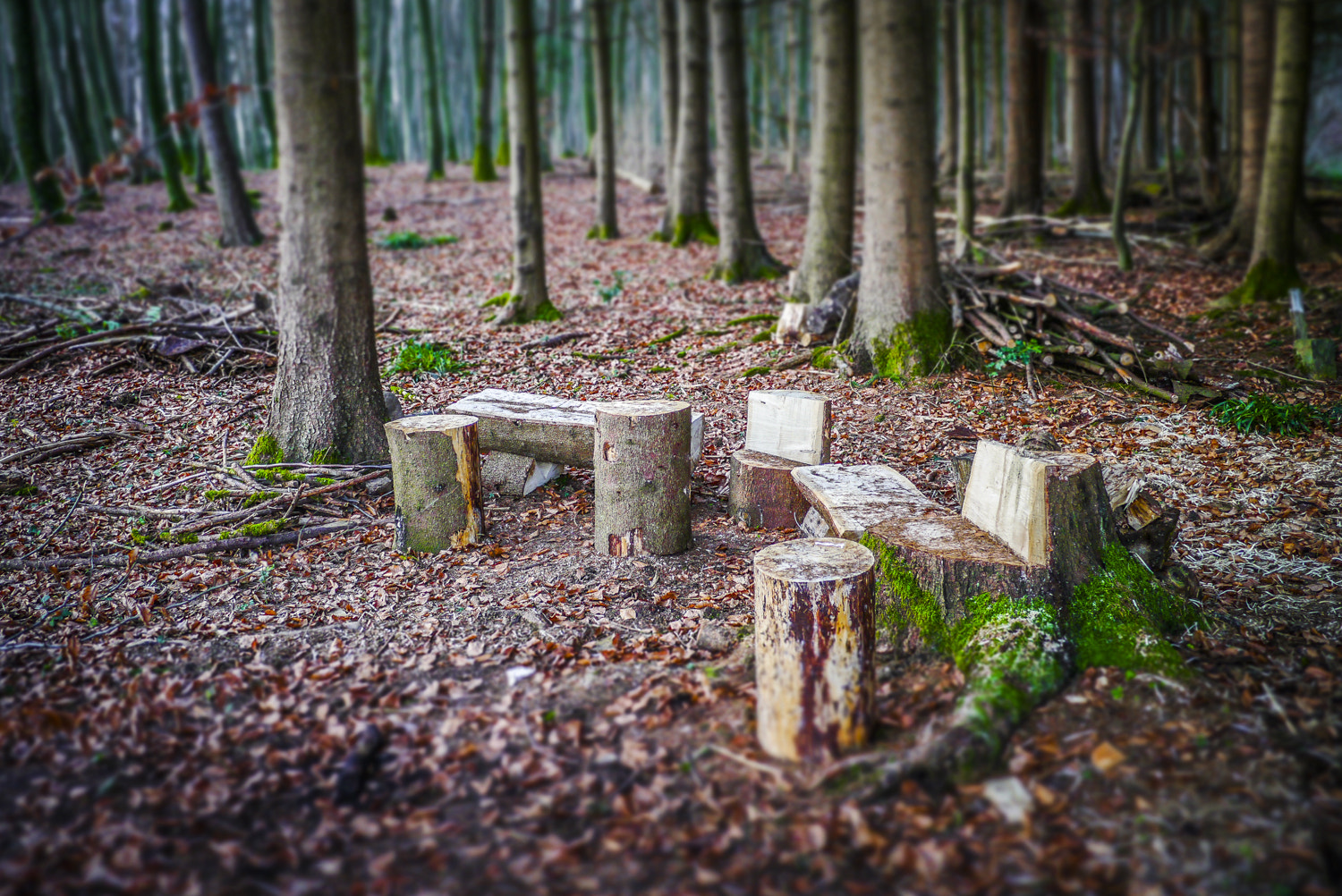 Panasonic Lumix DMC-GX1 + Panasonic Lumix G 14mm F2.5 ASPH sample photo. The woods-mans break room photography