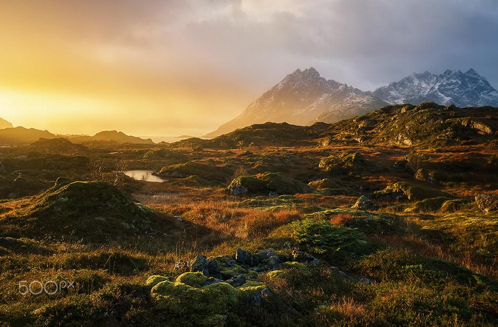 Sony a7R + Sony Vario-Tessar T* E 16-70mm F4 ZA OSS sample photo. Lofoten sunrise in sund photography