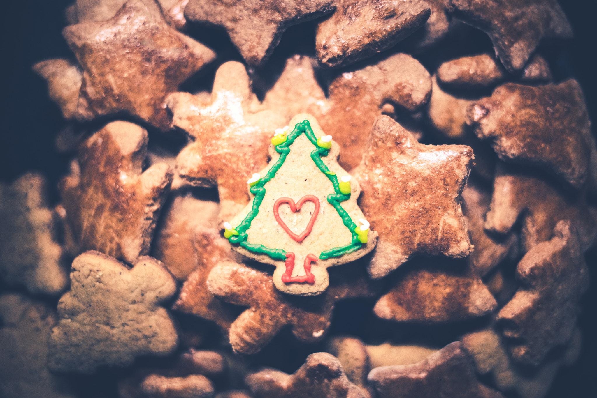 Sony a7R + Canon EF 35mm F2 IS USM sample photo. Merry christmas! photography