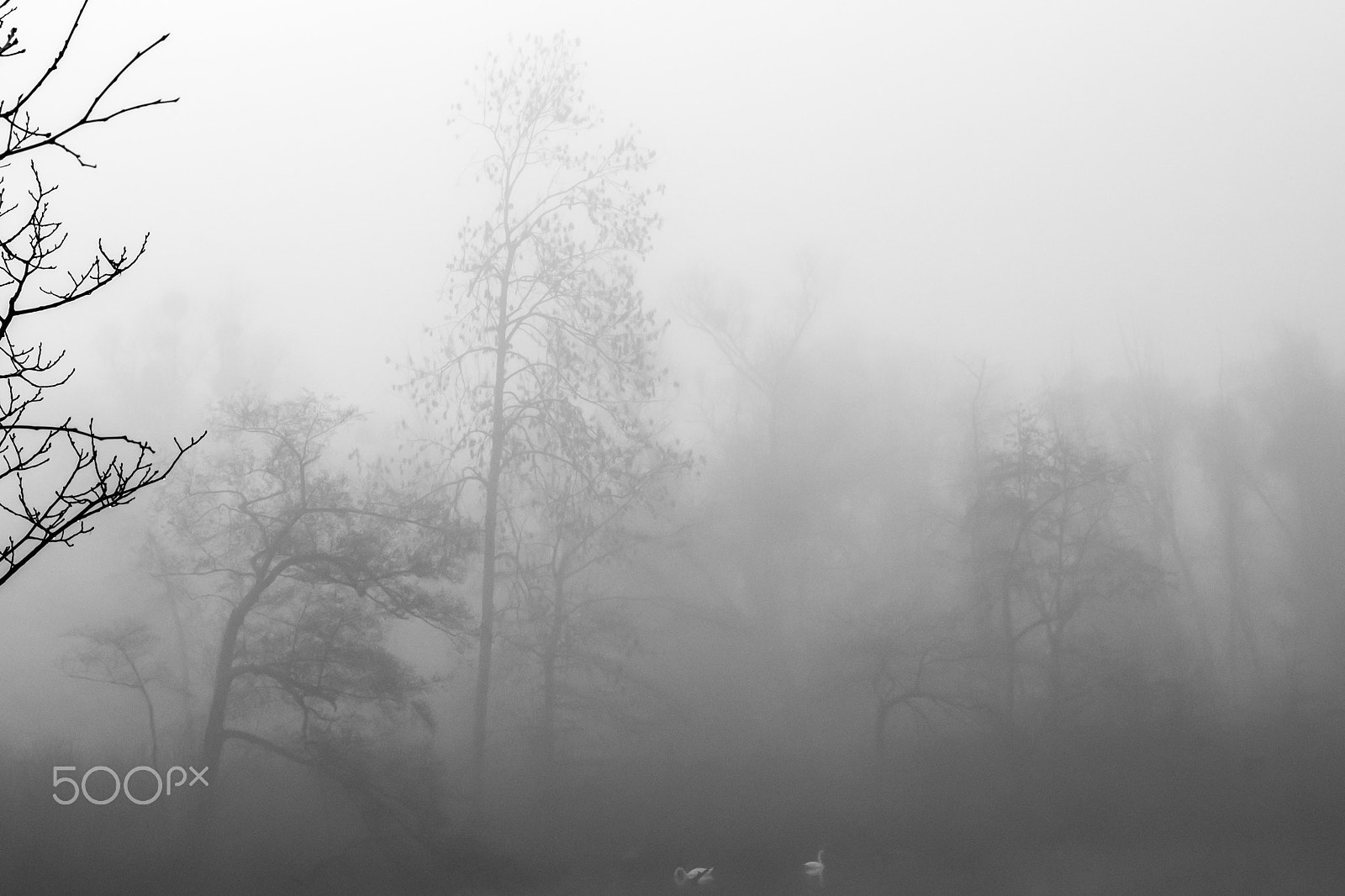 Sony SLT-A57 sample photo. A foggy day photography