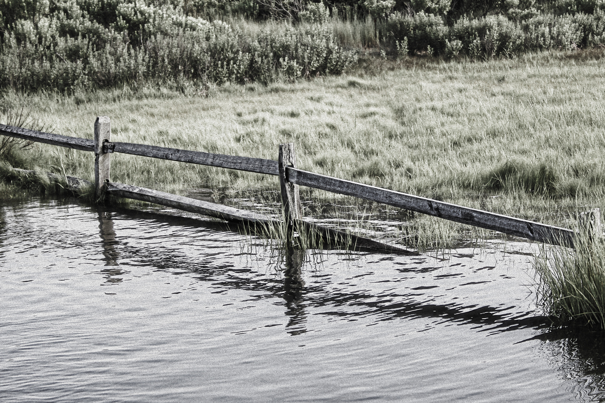 Canon EF-S 18-55mm F3.5-5.6 sample photo. The flood photography