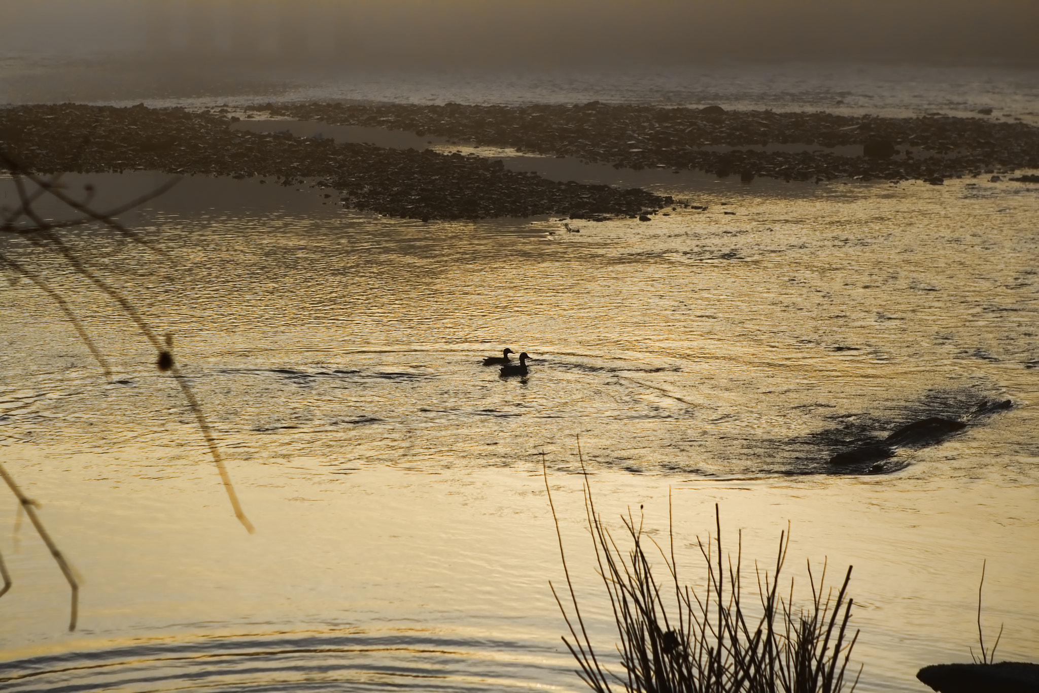 Canon EF 24-70mm F2.8L USM sample photo. At the river photography