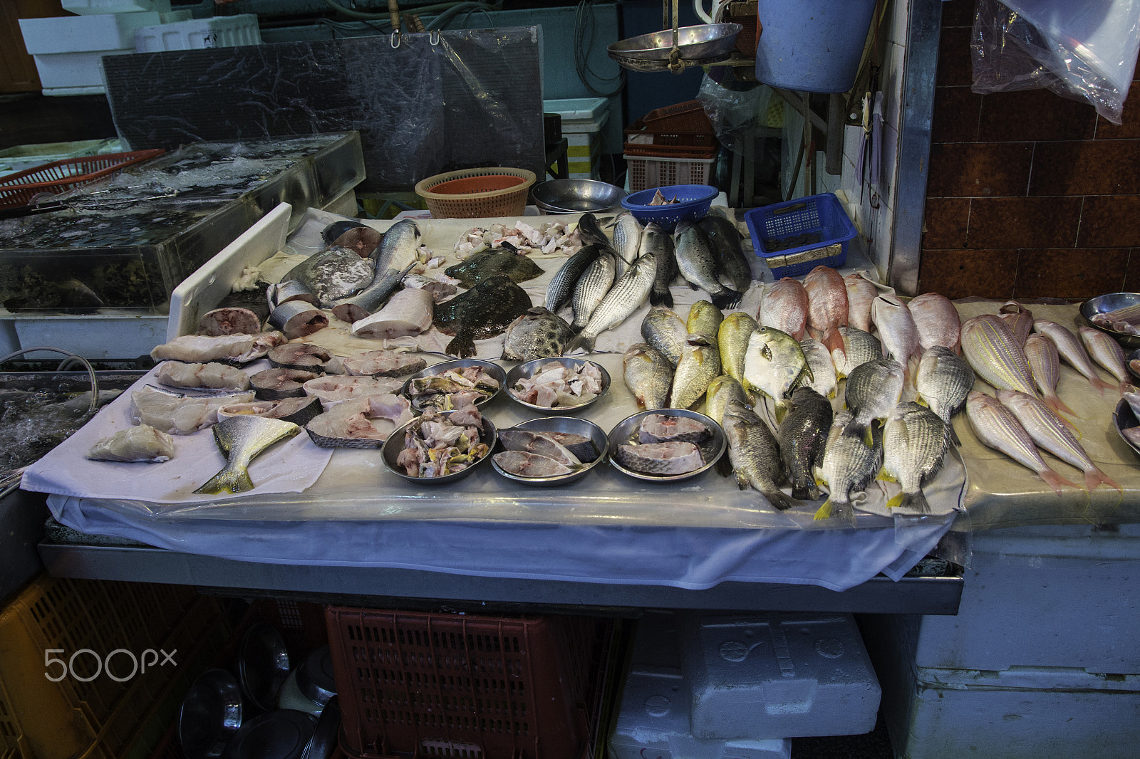 Sigma 17-70mm F2.8-4 DC Macro OS HSM sample photo. Hong kong fish market photography