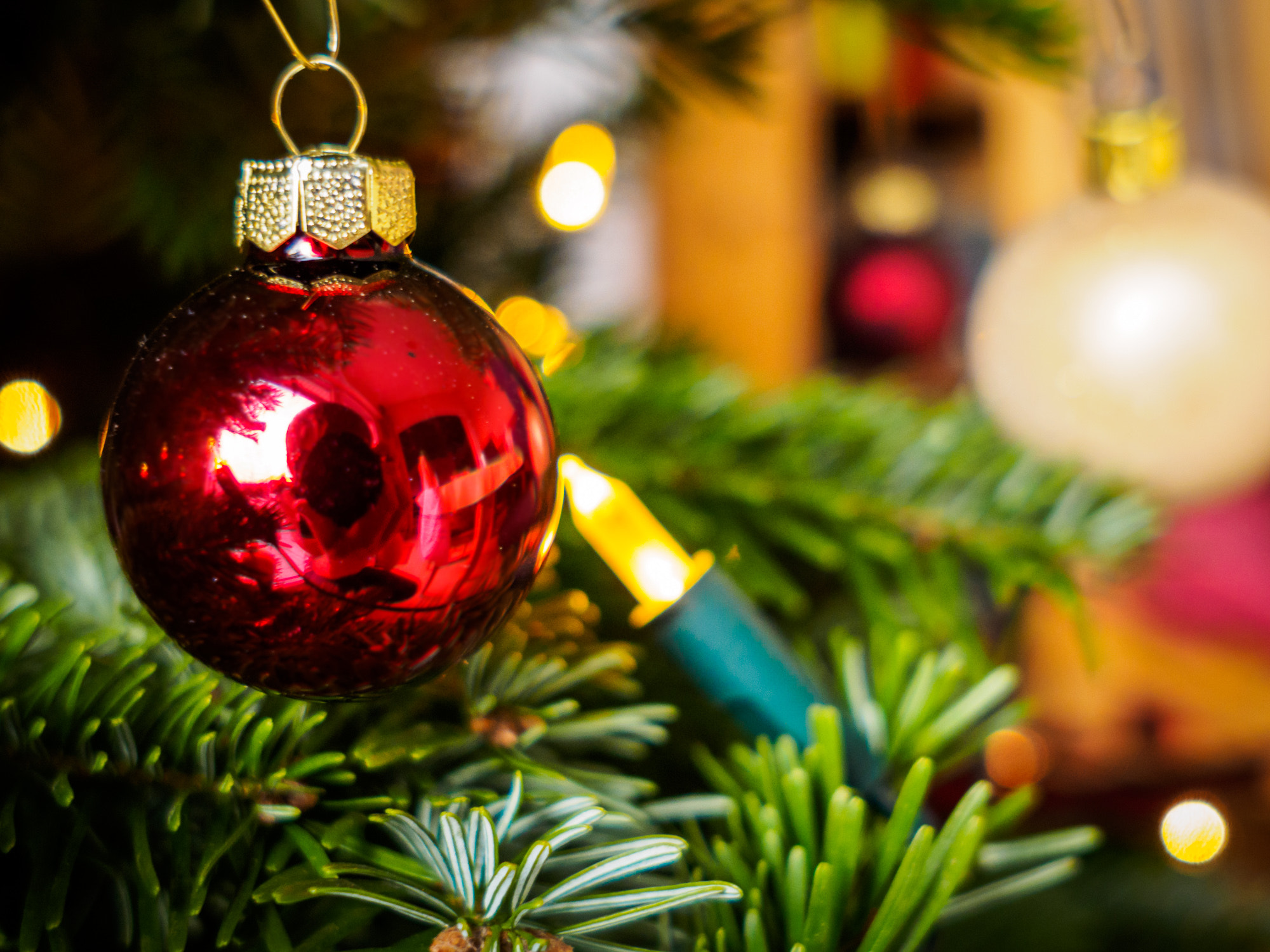 Olympus OM-D E-M1 + Sigma 19mm F2.8 DN Art sample photo. 24/365 - marry christmas selfie photography