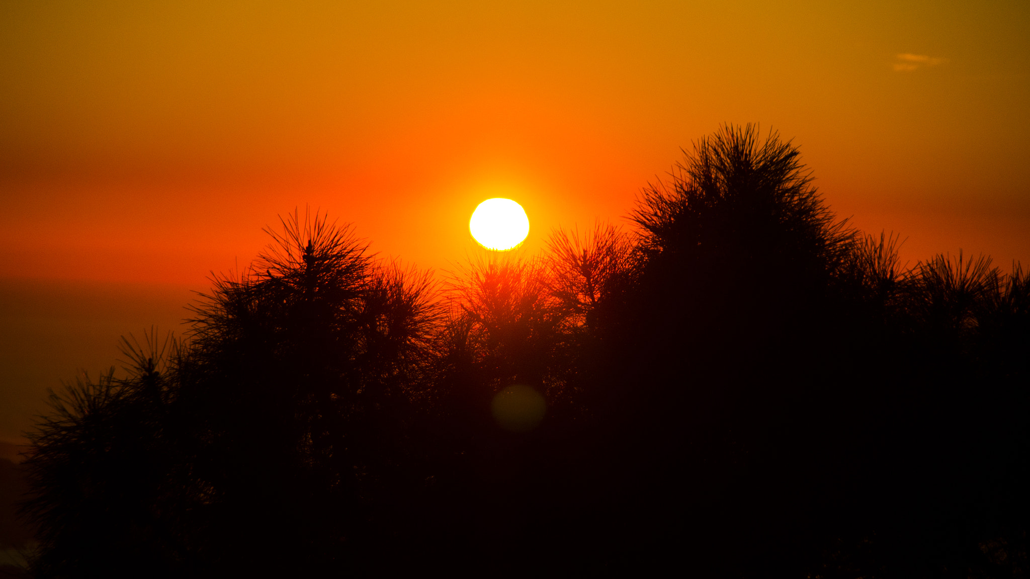 Sony SLT-A35 sample photo. Sunset over the trees photography