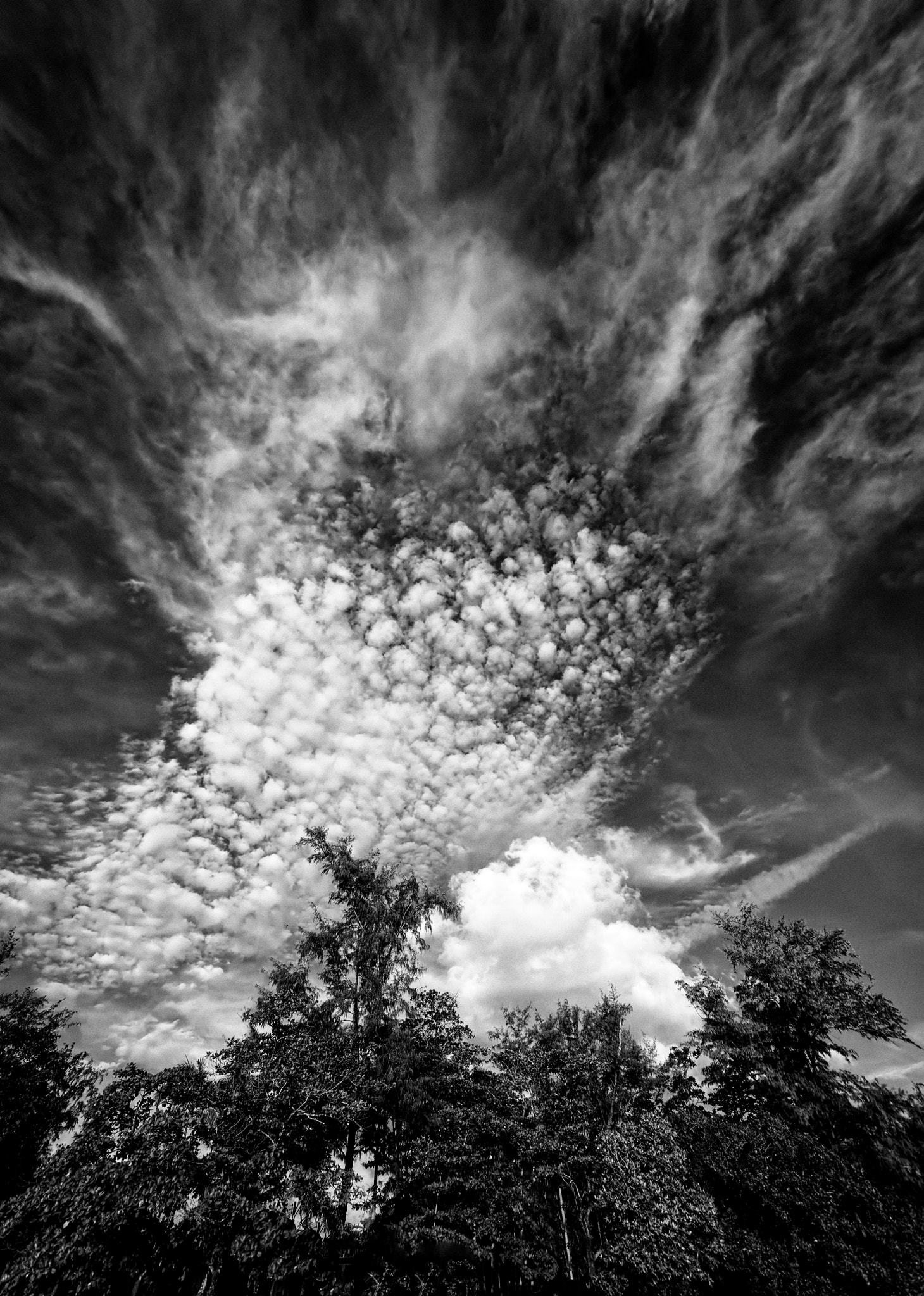 Sony a7R II + Sony E 10-18mm F4 OSS sample photo. The aliens are here ... photography