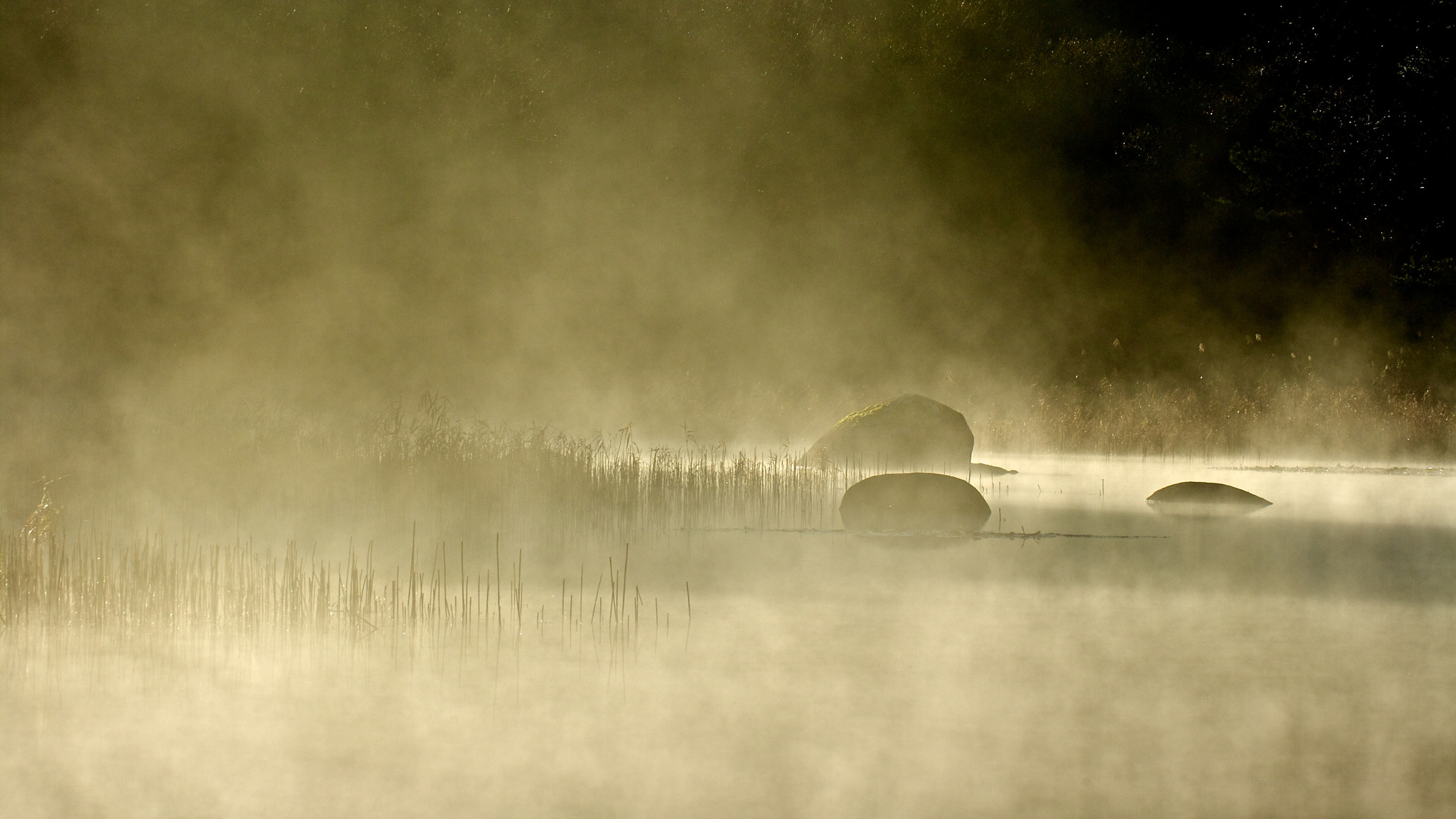 Canon EF 180mm F3.5L Macro USM sample photo. The mystic lake photography