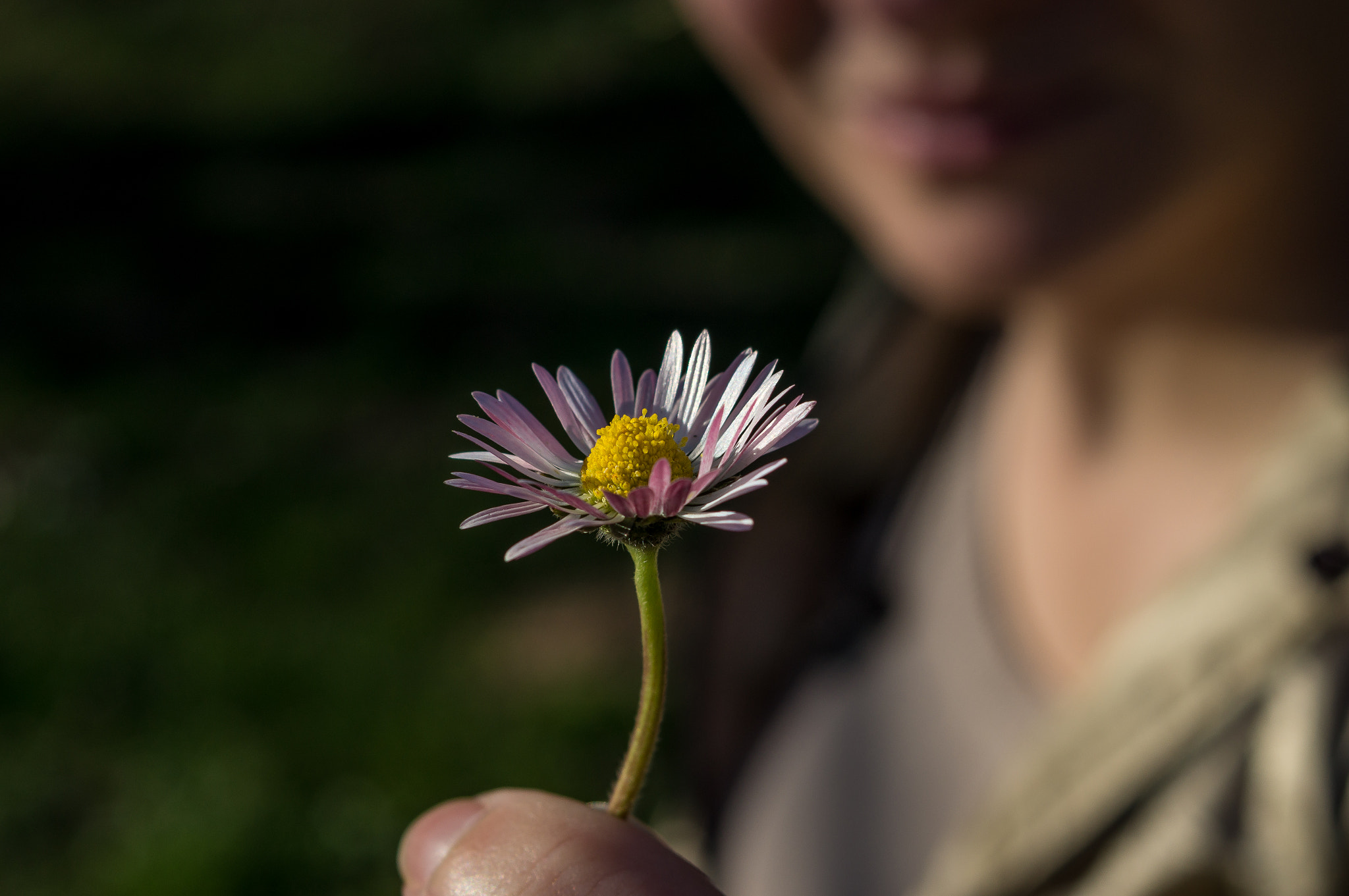 Sony SLT-A57 + 35-70mm F4 sample photo. Two flowers photography