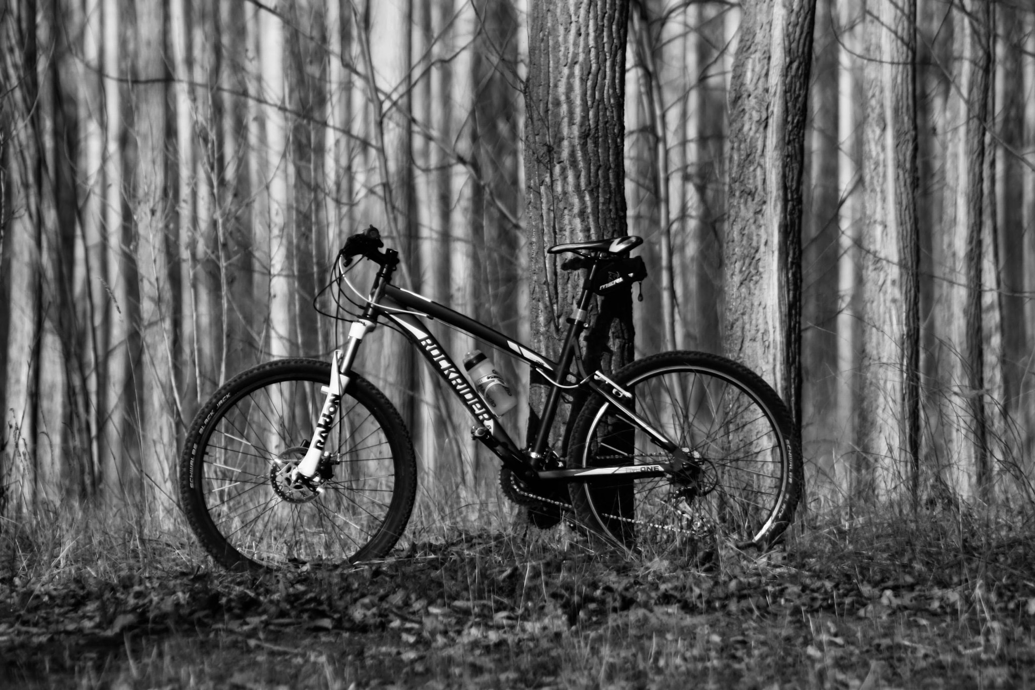 Canon EOS 30D + EF75-300mm f/4-5.6 sample photo. Mountain bike photography