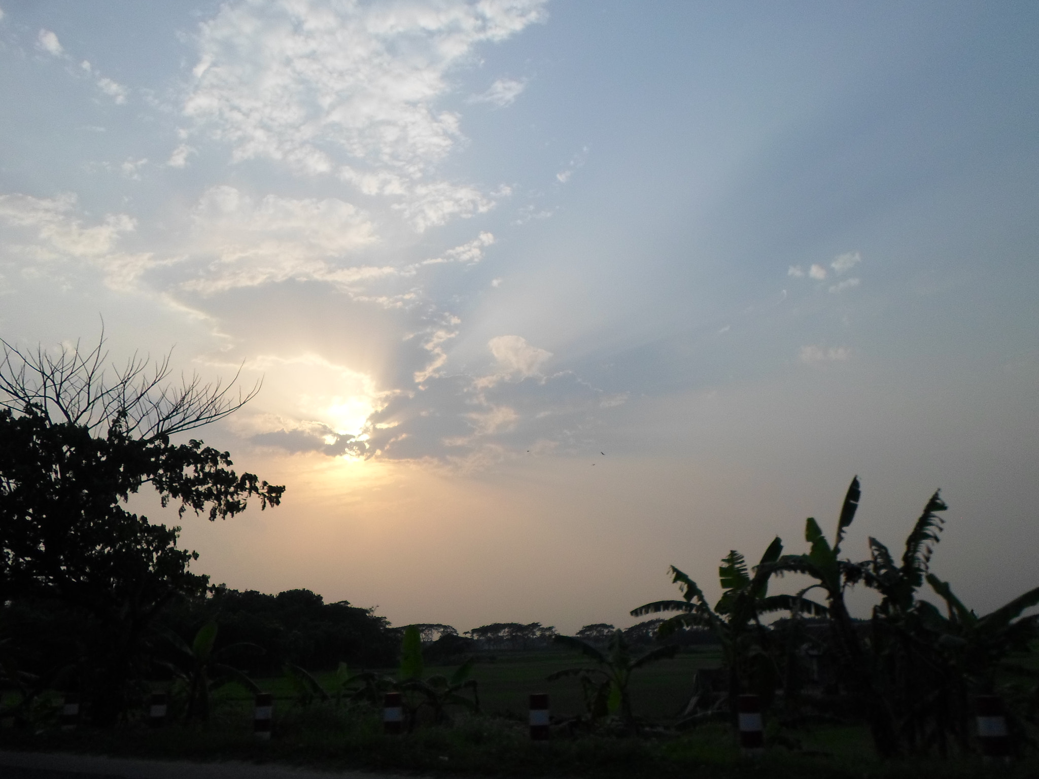 Samsung ES95 sample photo. Sam_3173.jpg photography