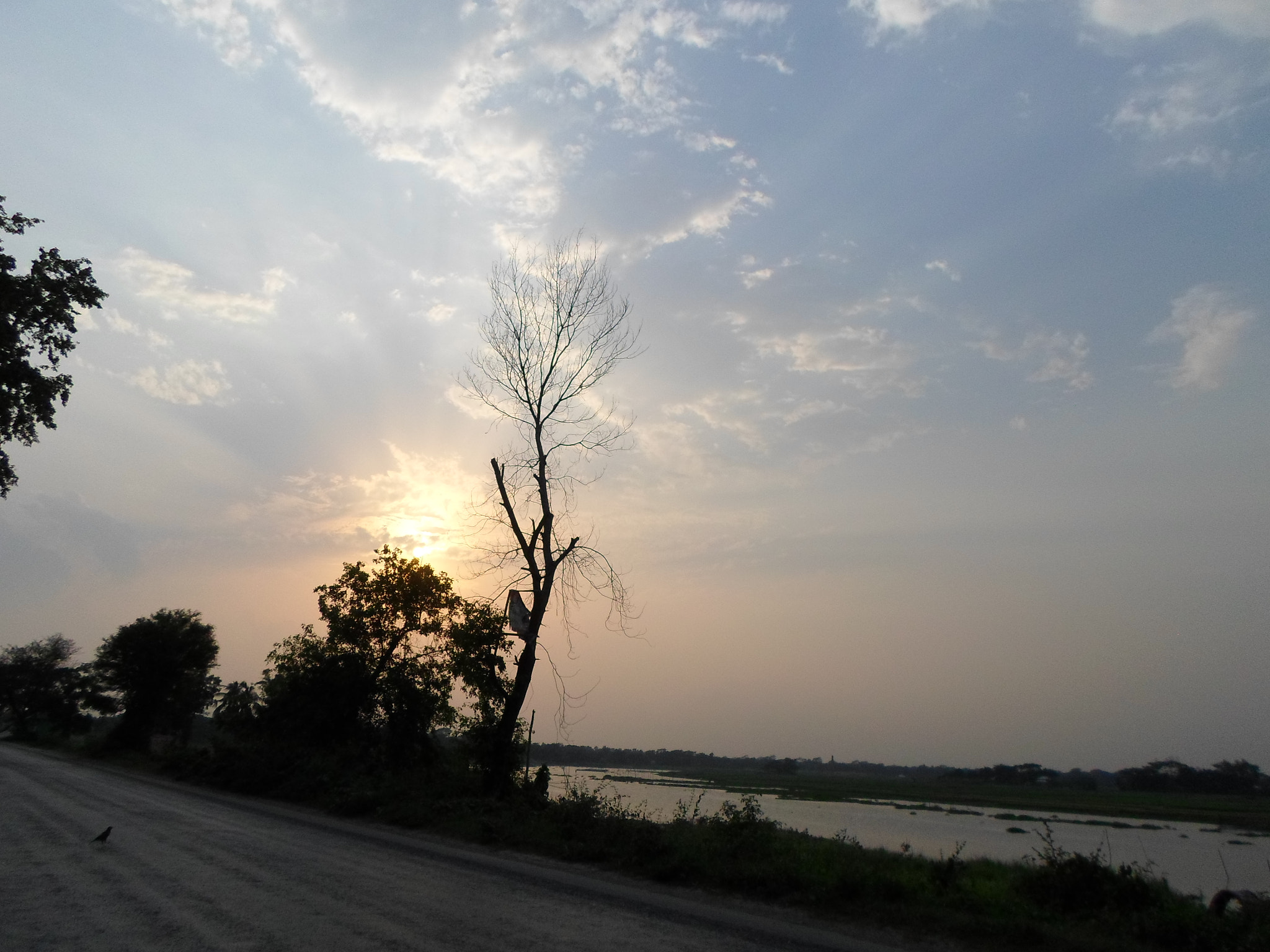 Samsung ES95 sample photo. Sam_3188.jpg photography