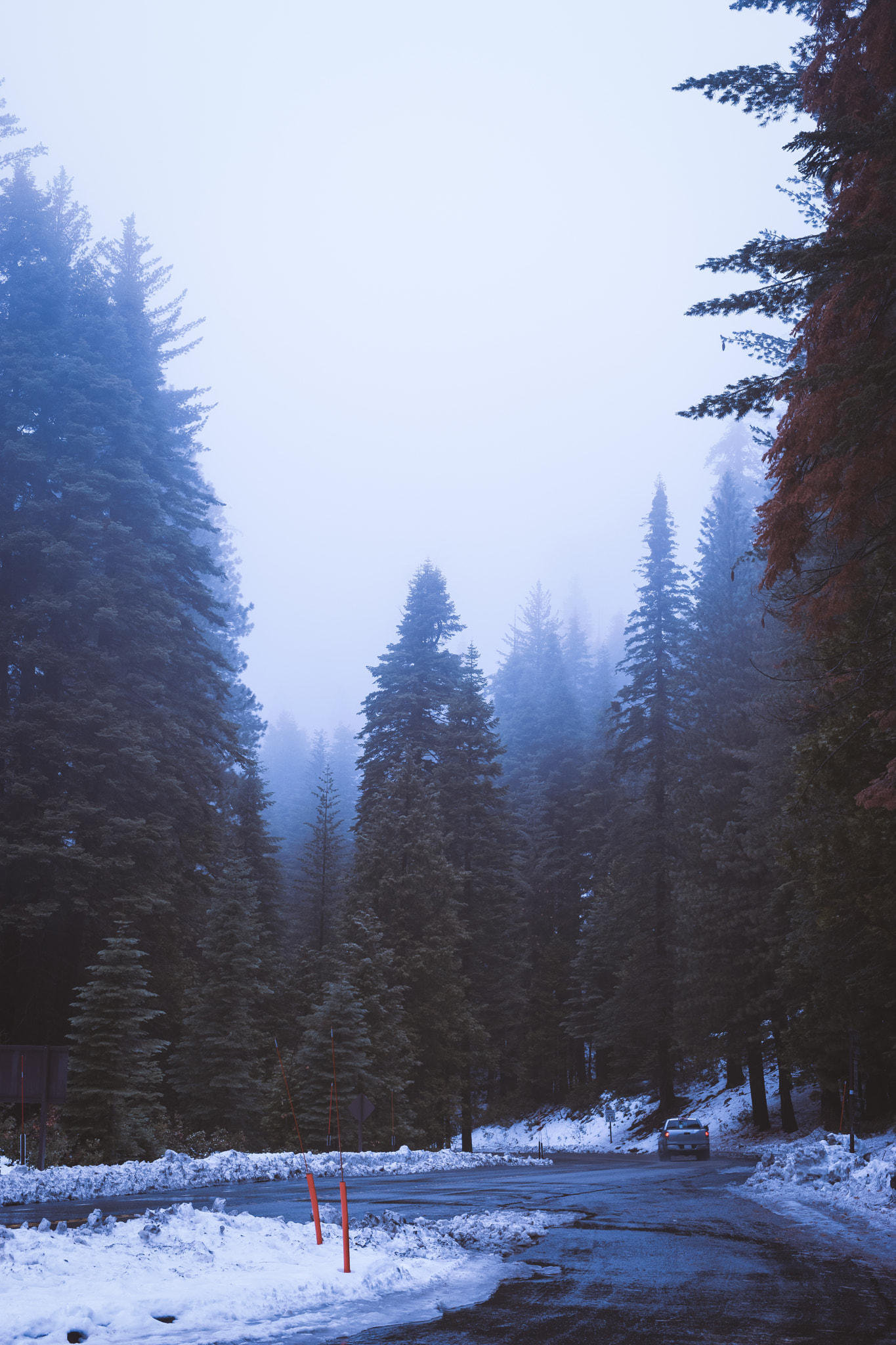 Minolta AF 50mm F1.4 [New] sample photo. Into the mist photography