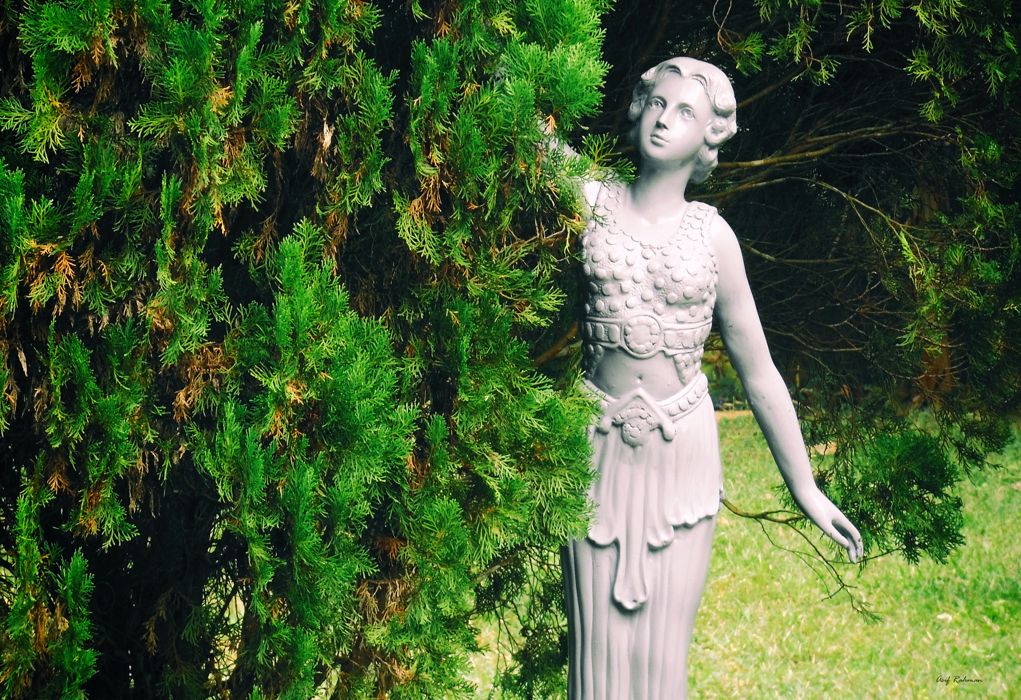 Sony DSC-W670 sample photo. The garden girl photography