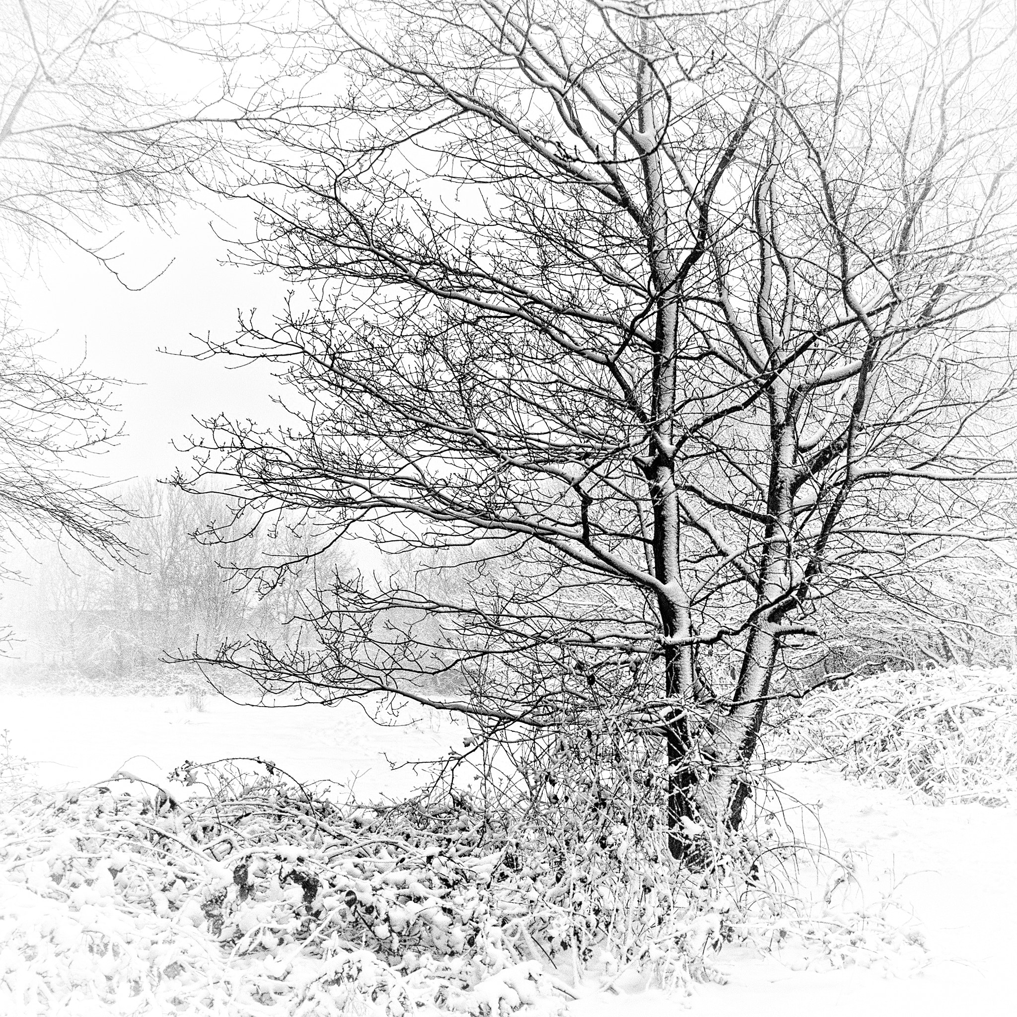 Sigma 18-125mm F3.8-5.6 DC HSM sample photo. Here's one i did earlier photography