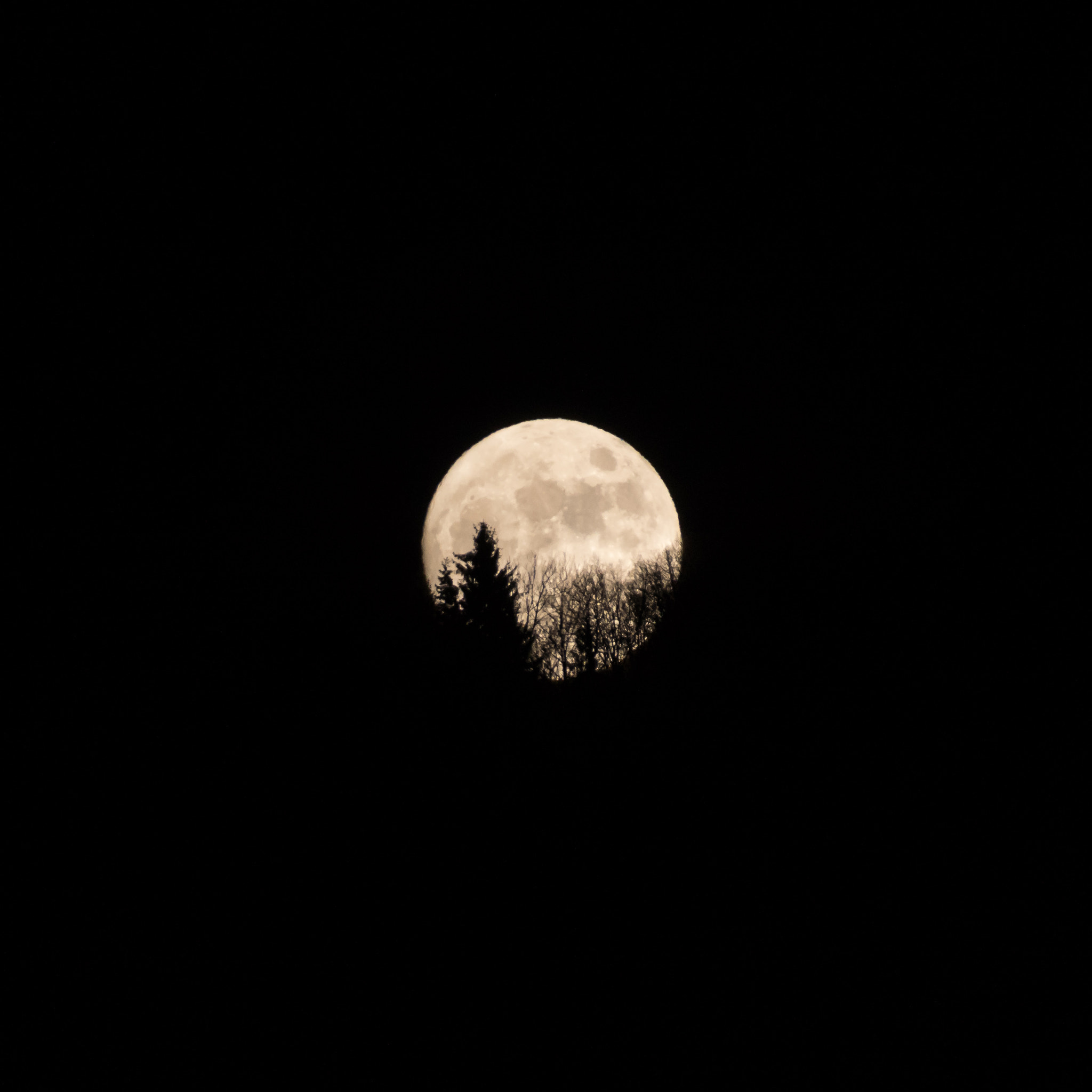 Pentax smc DA 18-270mm F3.5-6.3 ED SDM sample photo. Lune photography