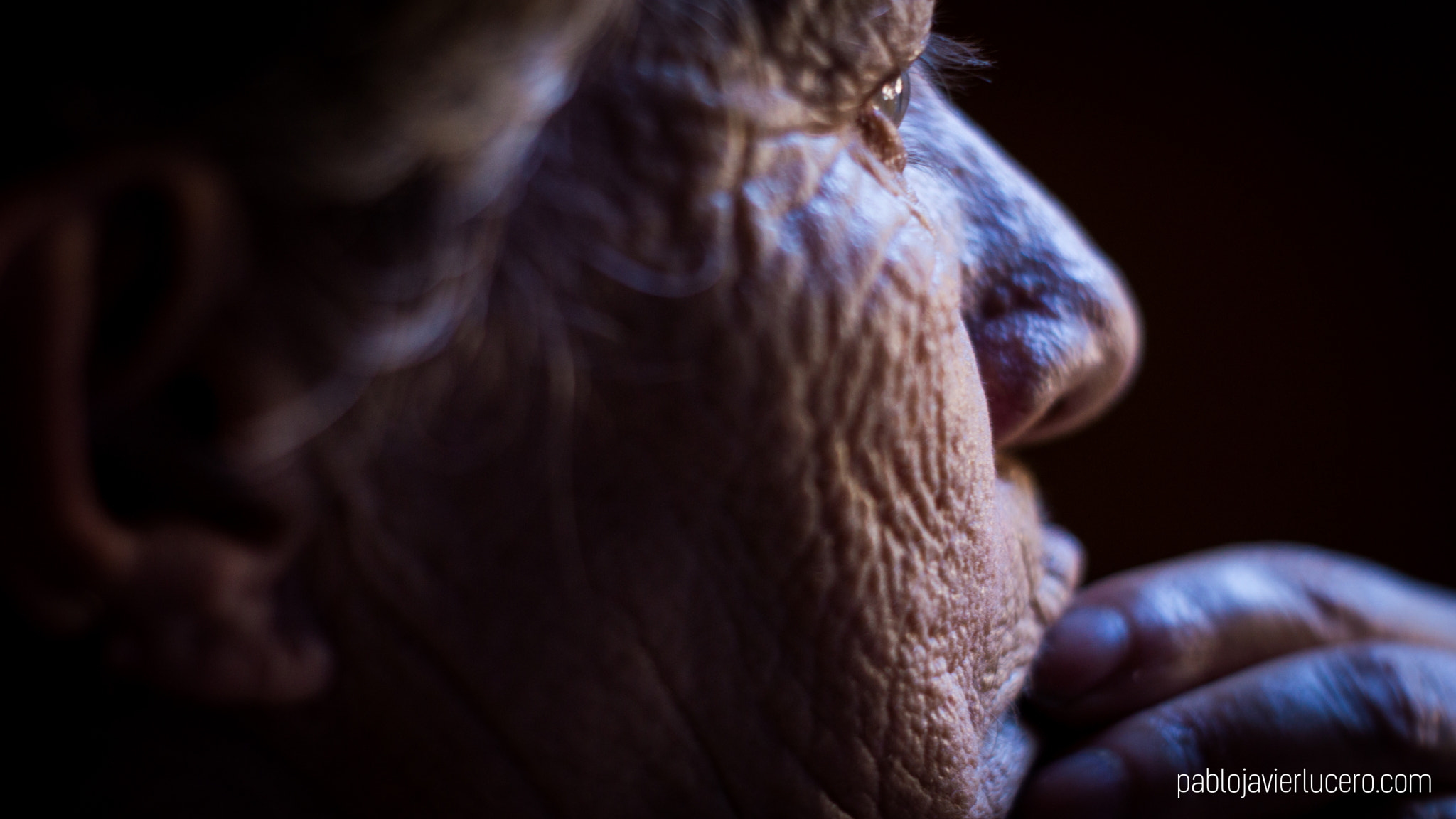 Sony SLT-A77 sample photo. Elsa 2.jpg photography