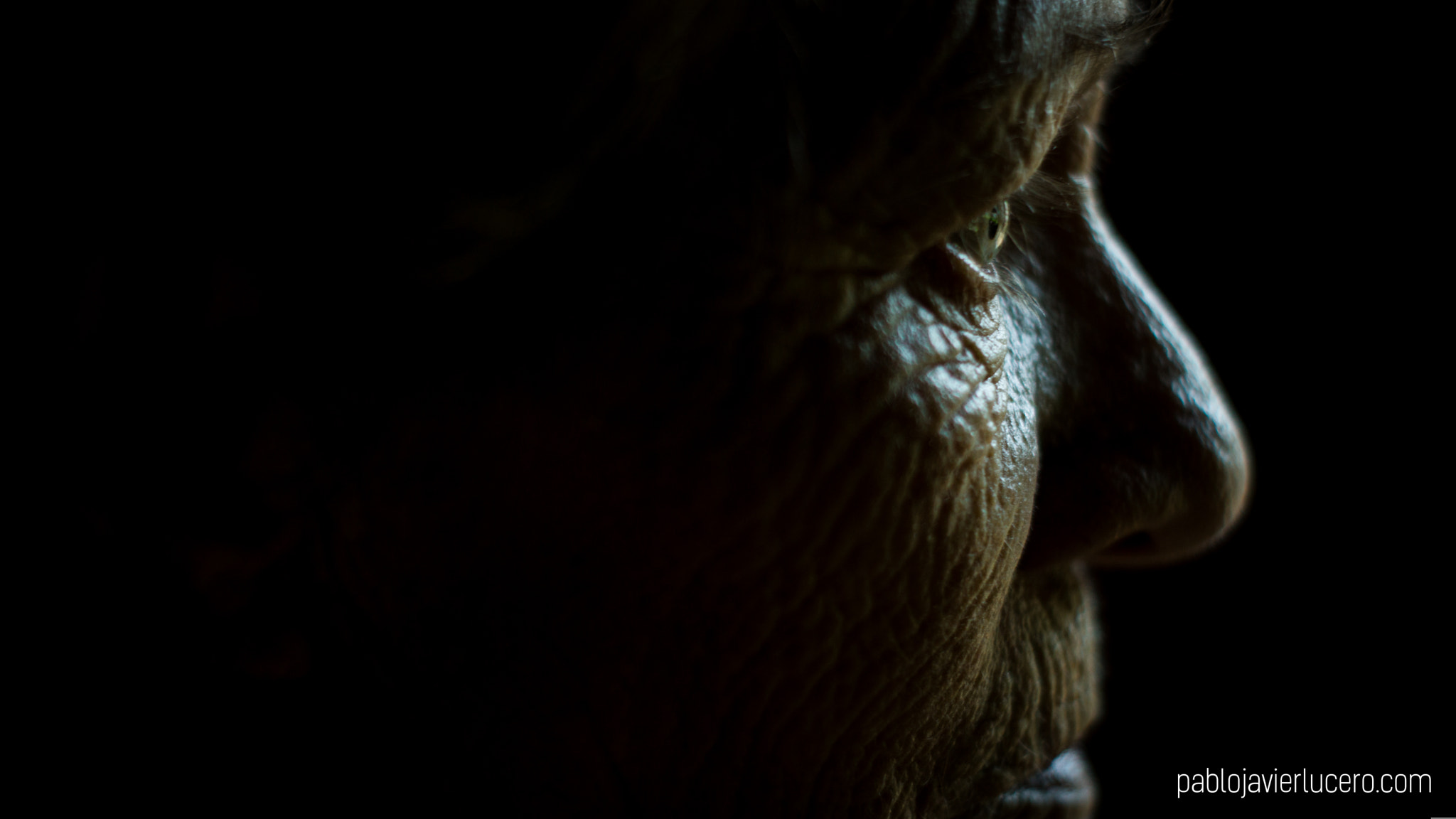 Sony SLT-A77 sample photo. Elsa.jpg photography