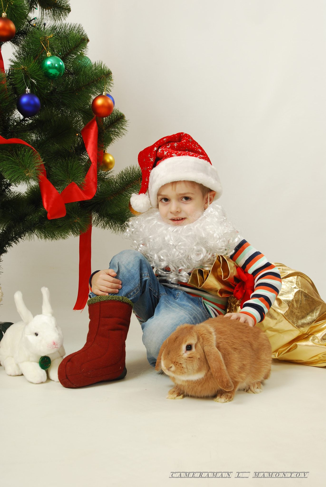 Nikon D60 sample photo. Merry christmas! photography