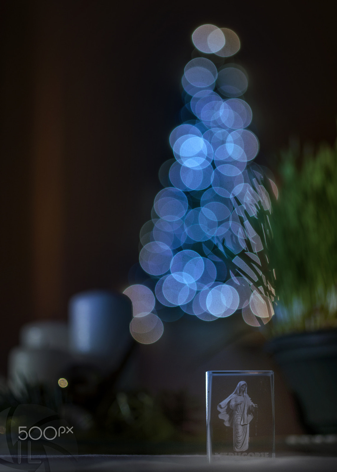 Pentax smc D-FA 50mm F2.8 Macro sample photo. Silentium photography
