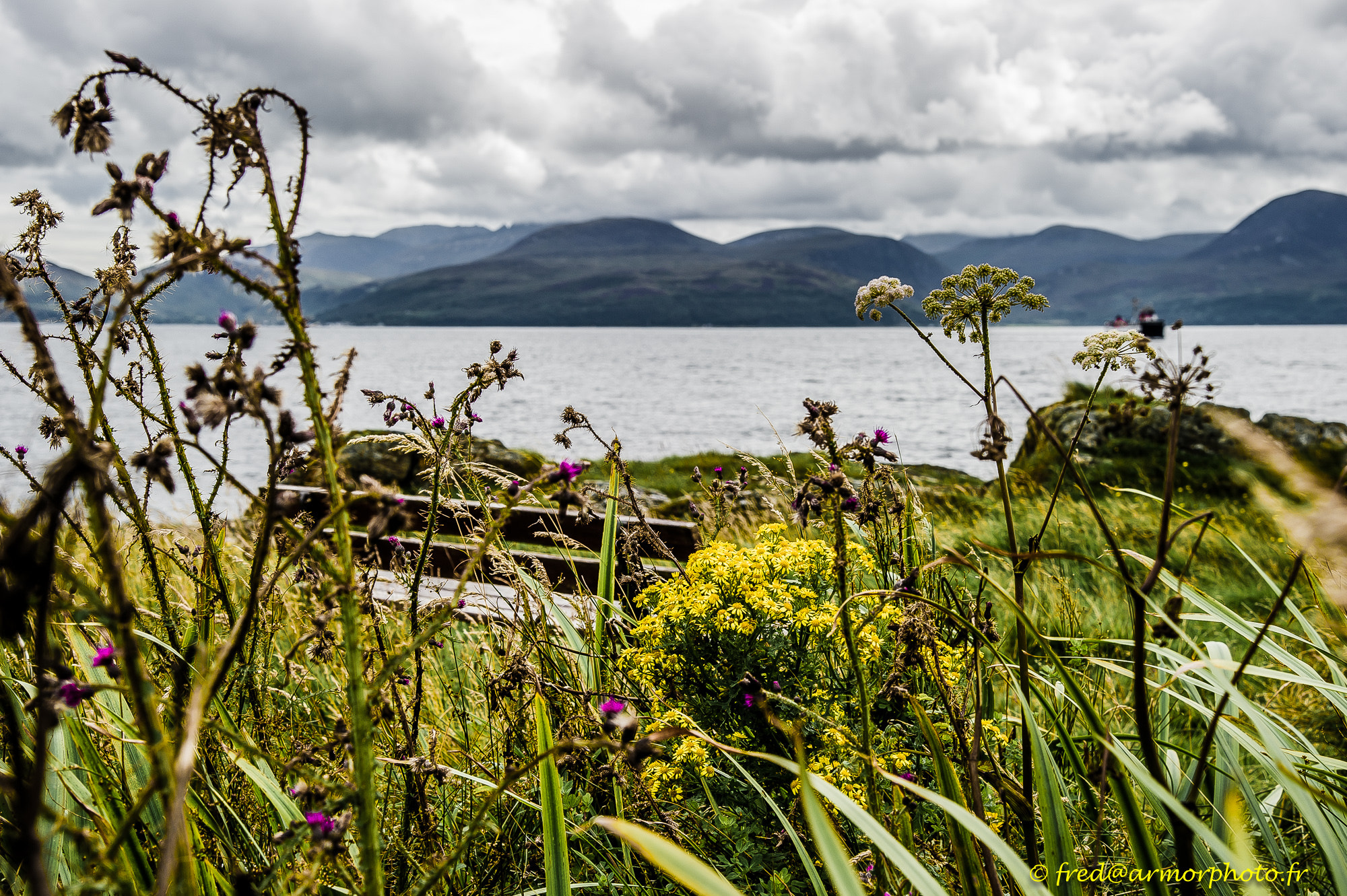 Nikon D3S sample photo. Scotland photography