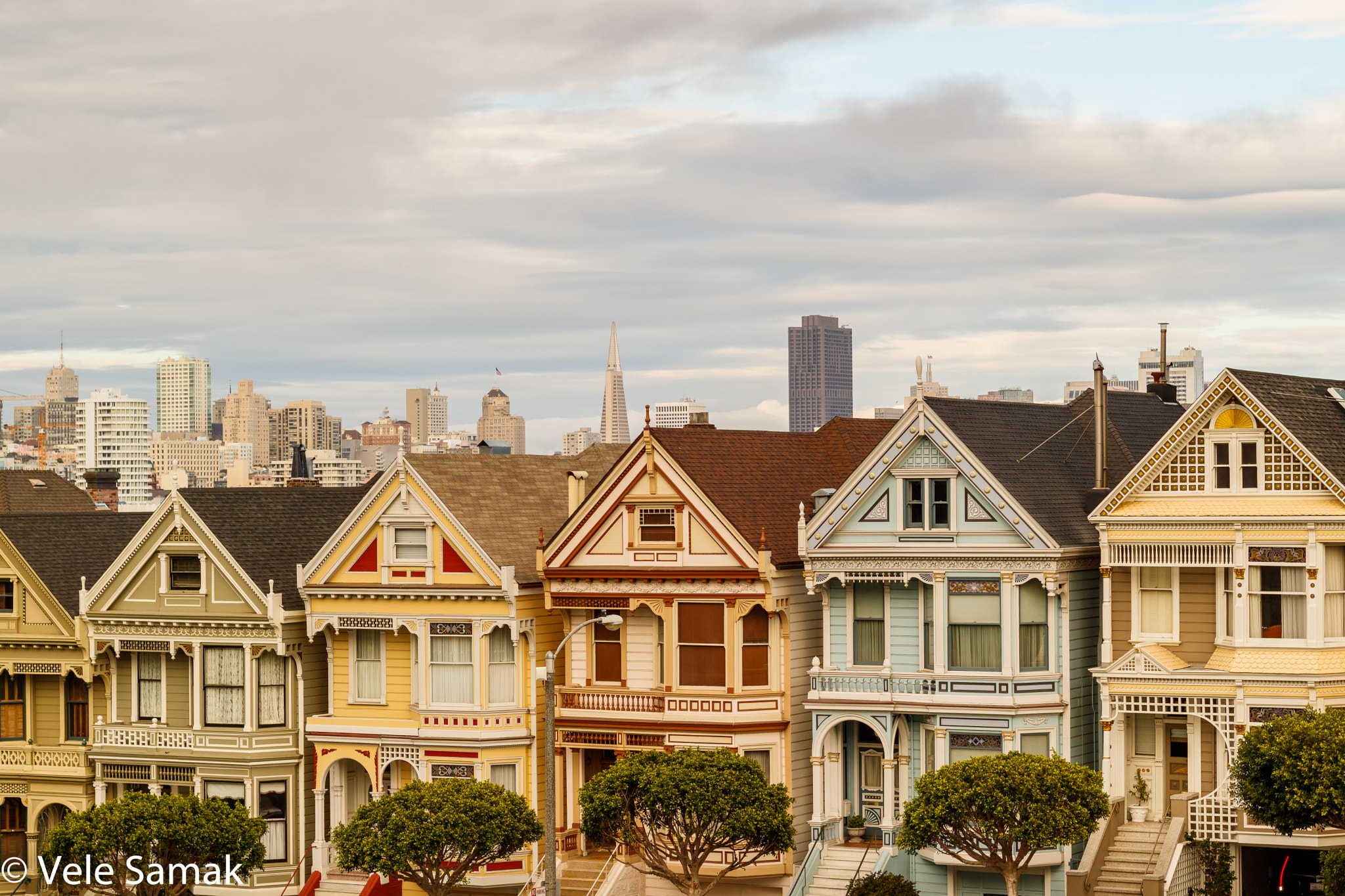 Canon EOS M3 + Canon EF 50mm F1.8 STM sample photo. Painted ladies with fog photography