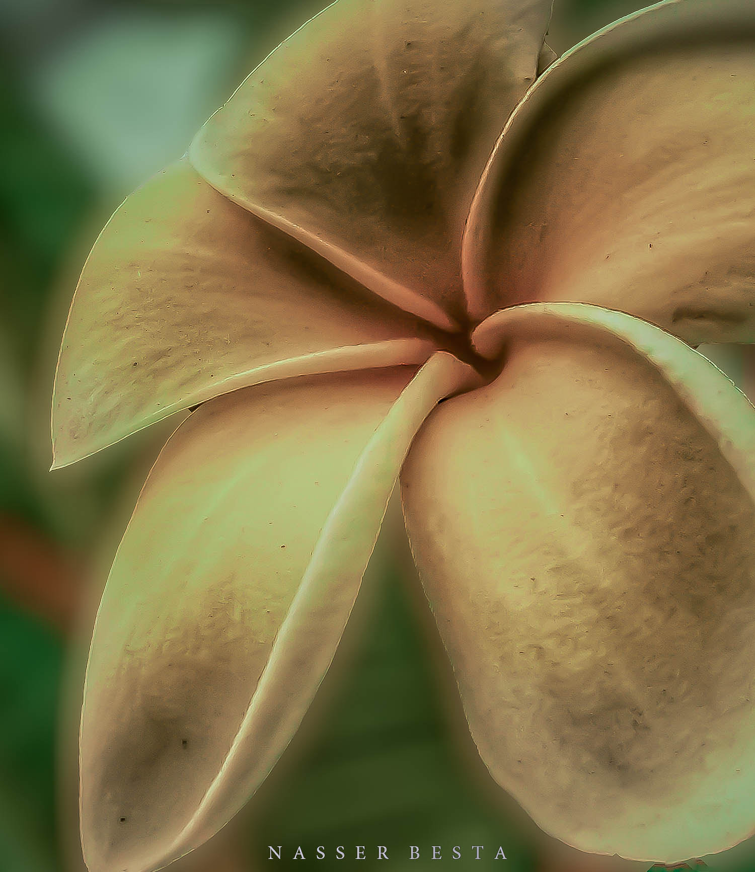 Samsung Galaxy Mega 6.3 sample photo. Dsc ٠٠٦٨ edit edit photography