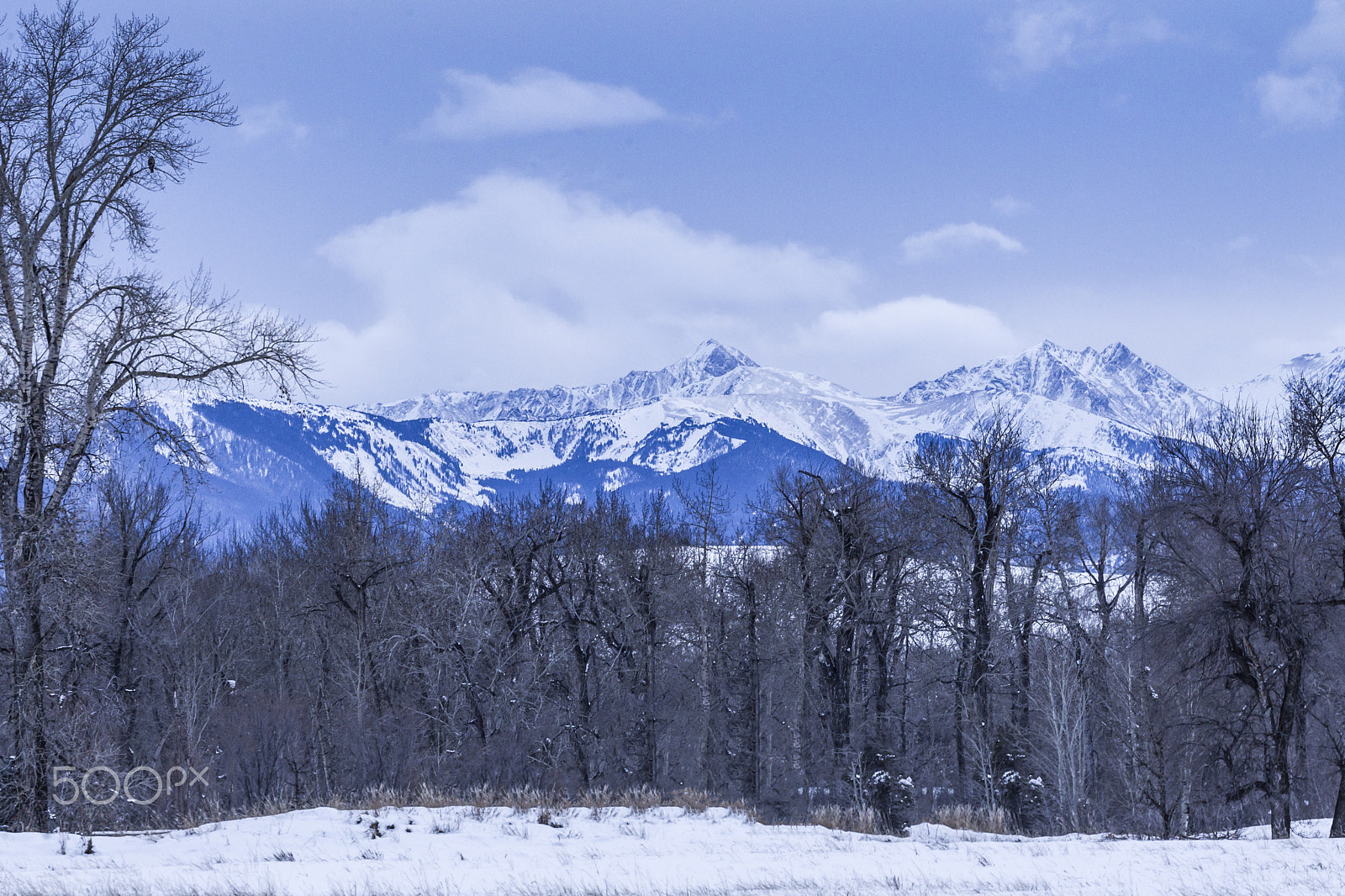 Canon EF 100-400mm F4.5-5.6L IS II USM sample photo. Spanish peaks (view from bozeman, montana) photography