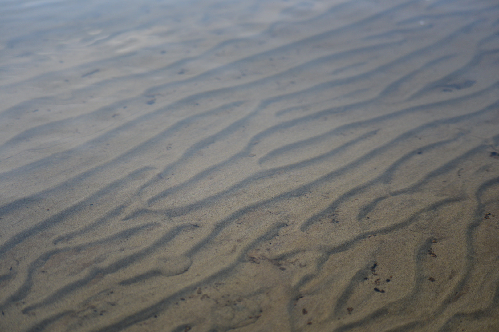 Sigma 70-300mm F4-5.6 APO Macro Super II sample photo. Where the dunes meet the lake photography