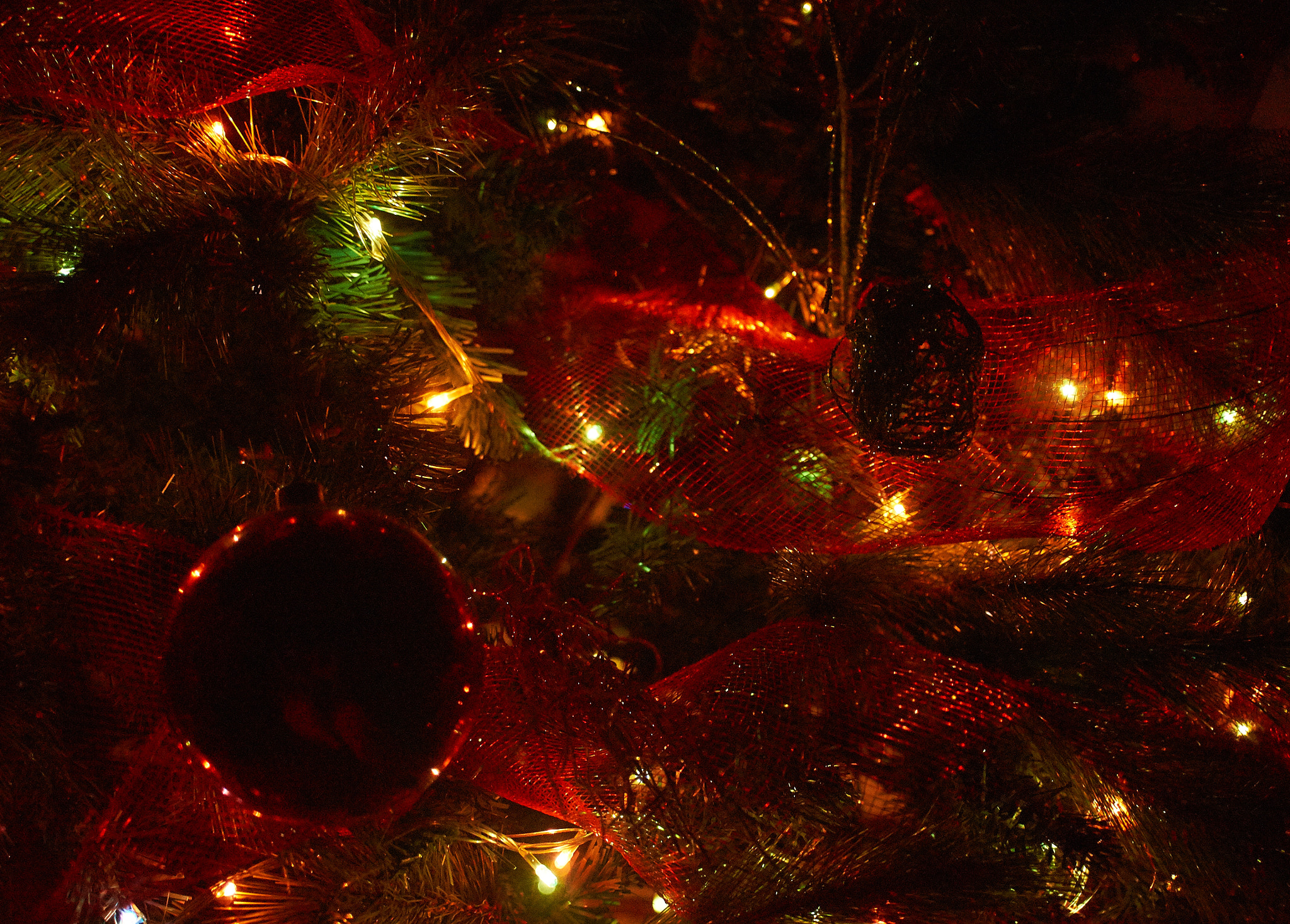 24mm F2.8 sample photo. Christmas  photography