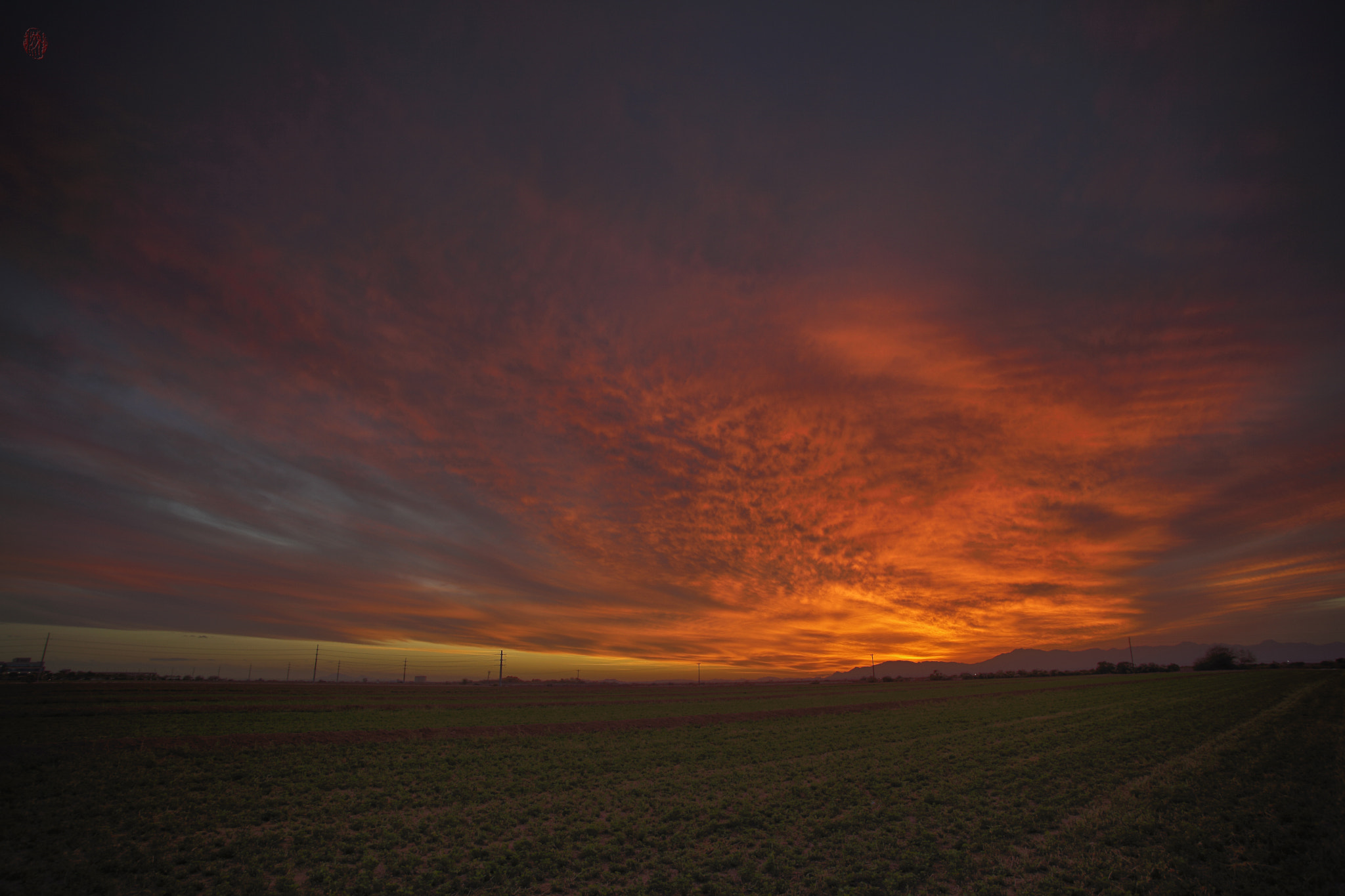 Canon EOS 5D Mark II + Tamron AF 19-35mm f/3.5-4.5 sample photo. Arizona christmas sunset (chandler) photography