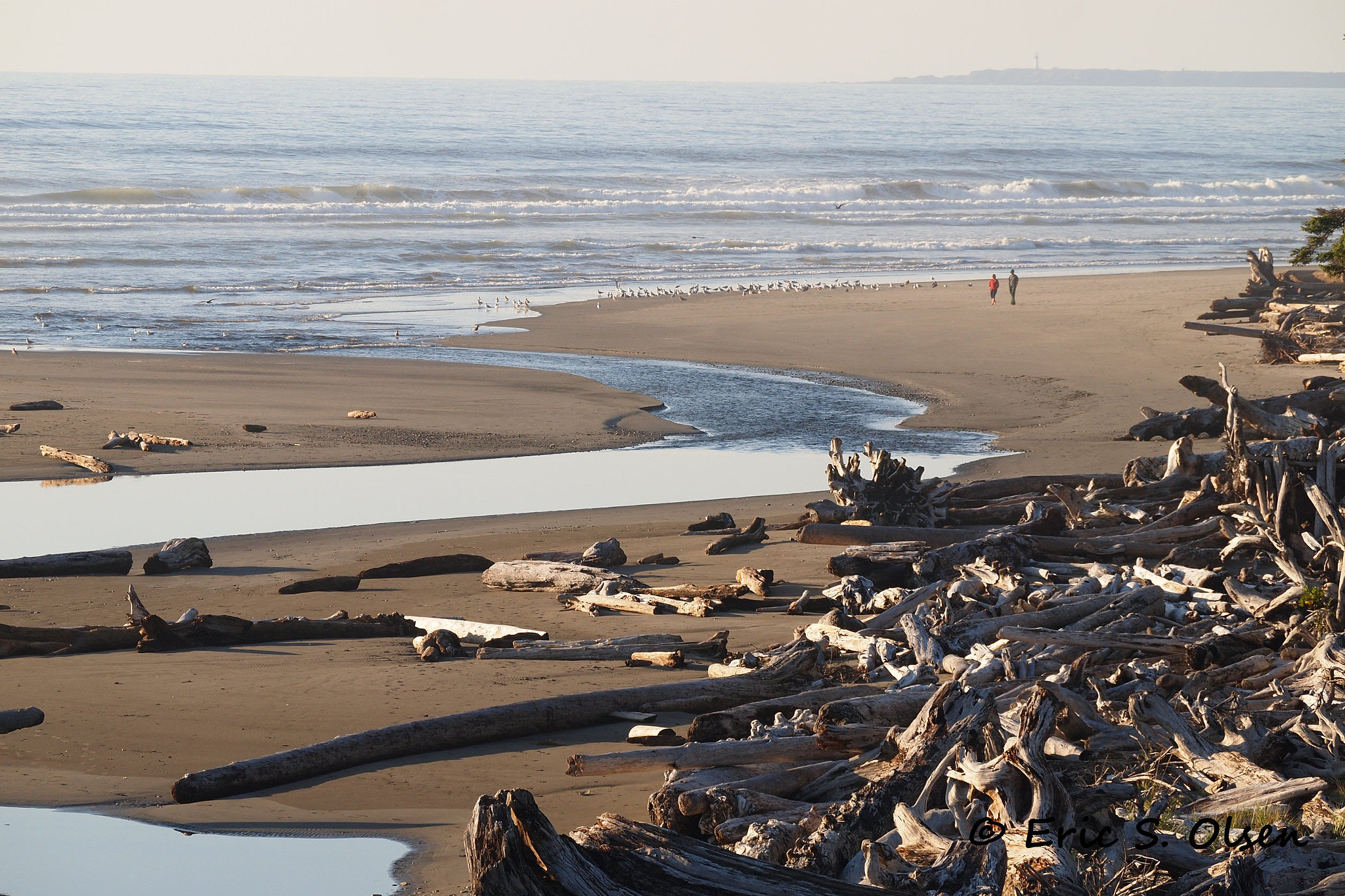 Olympus PEN E-P1 sample photo. Kalaloch photography