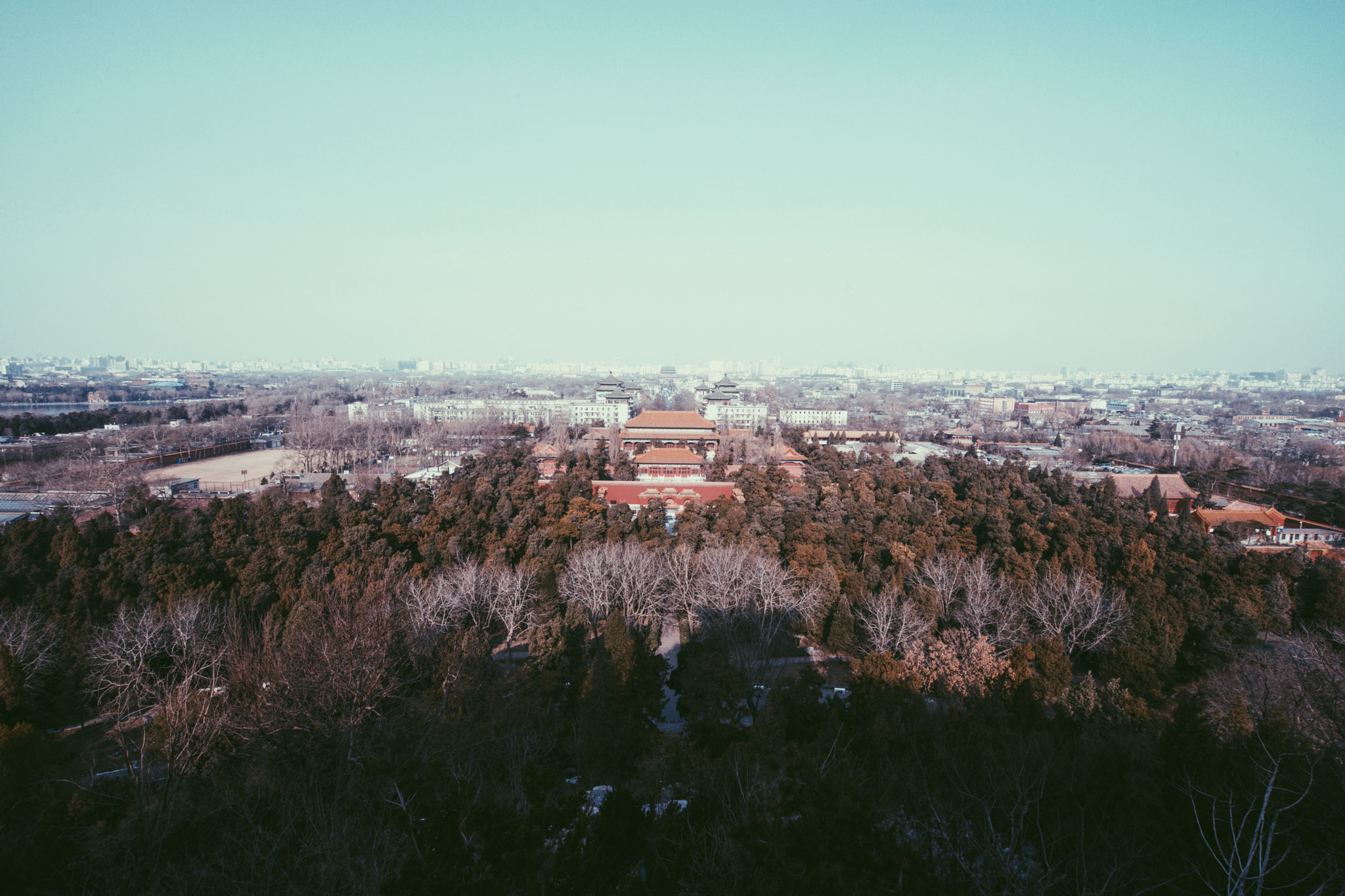 Sony a7 + Sony Vario-Tessar T* FE 16-35mm F4 ZA OSS sample photo. Merrychristmas photography