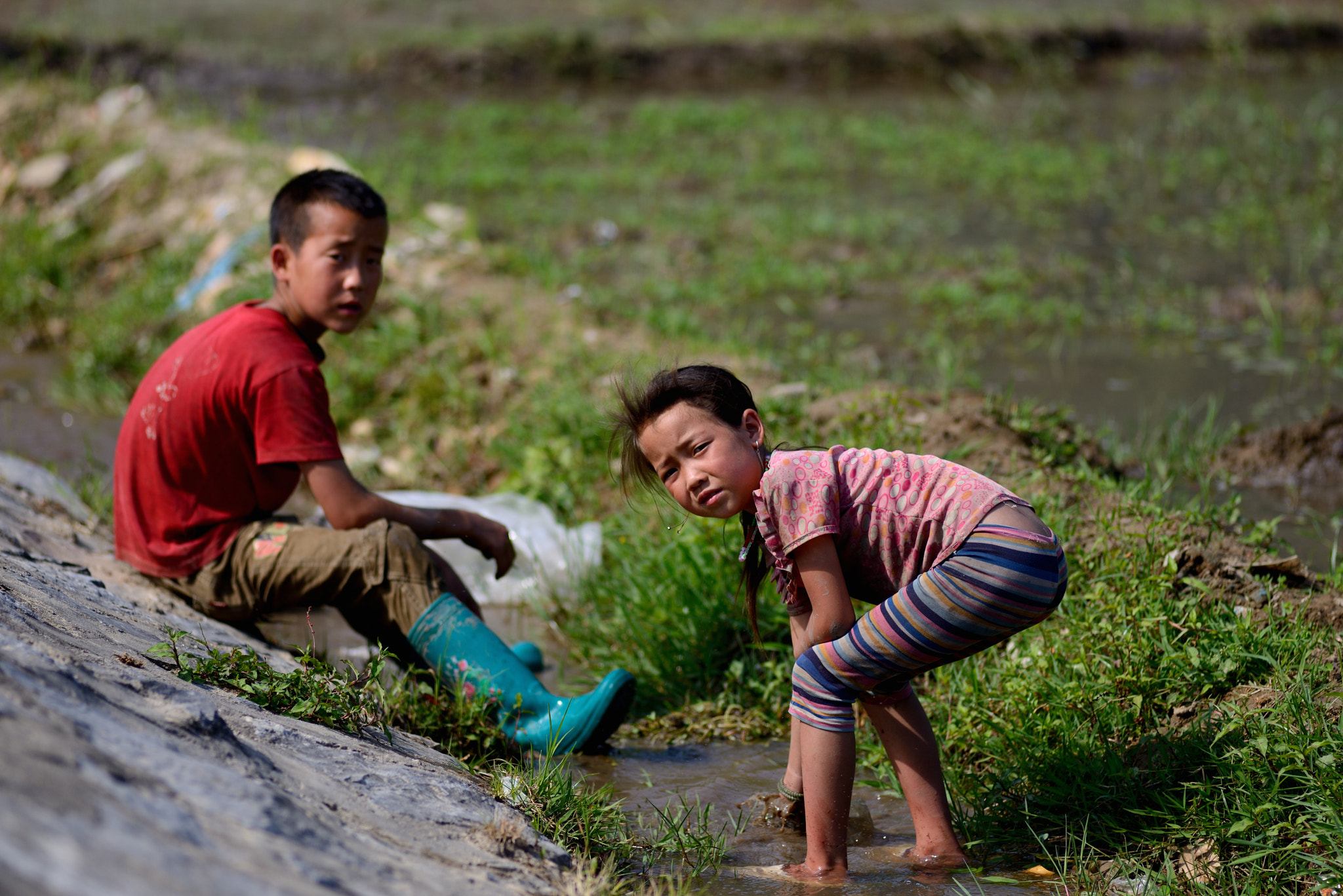 Nikon D600 + Nikon AF Nikkor 180mm F2.8D ED-IF sample photo. Washing weed for aminal feed photography