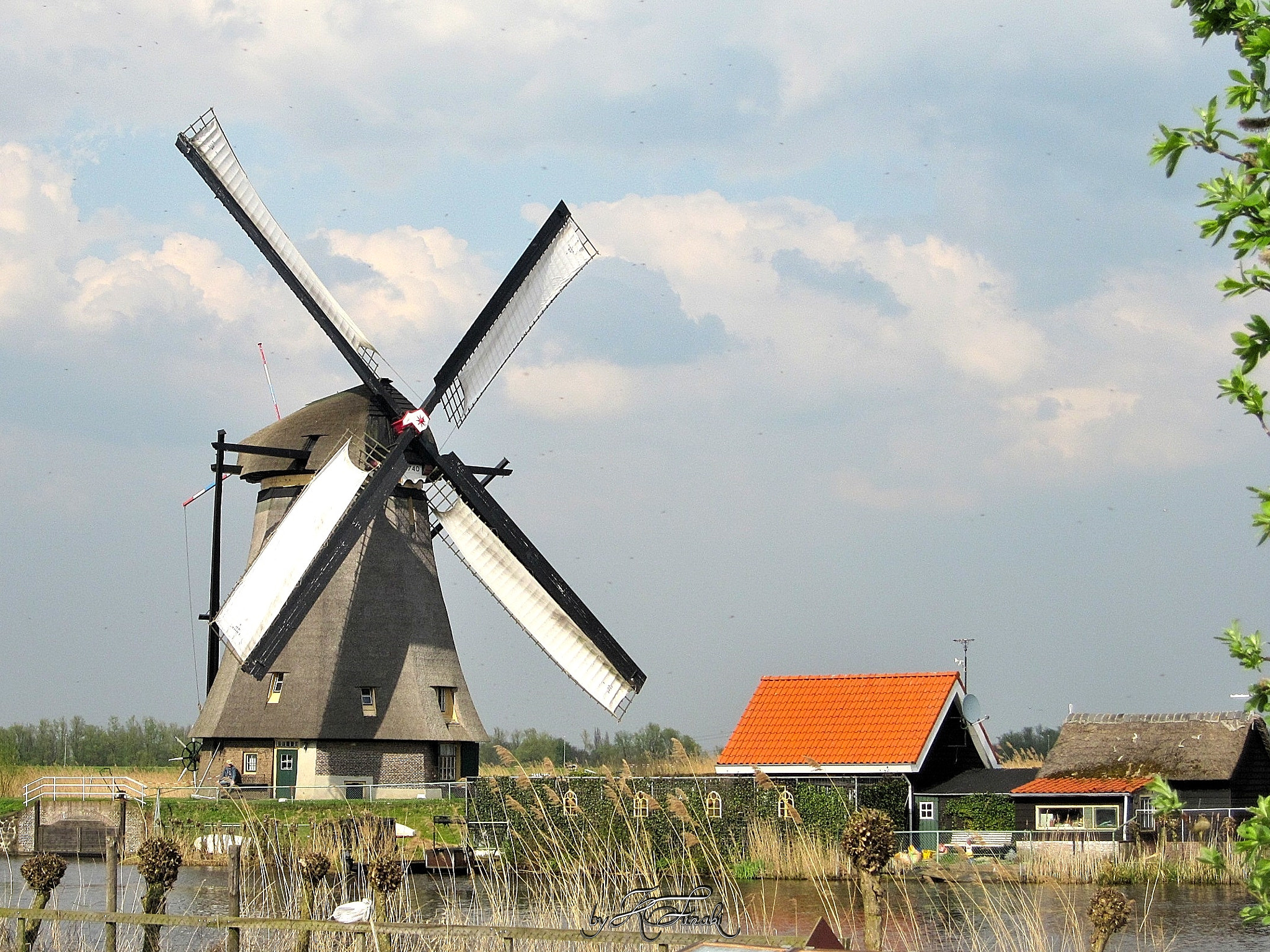 Canon PowerShot SD960 IS (Digital IXUS 110 IS / IXY Digital 510 IS) sample photo. Farmer's house with windmill photography