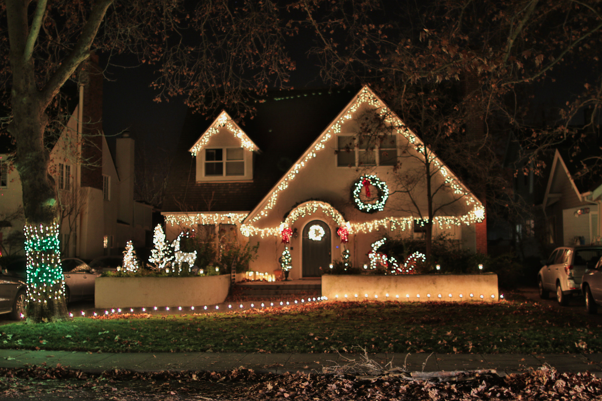 Canon EF 24mm F1.4L II USM sample photo. Merry christmas photography