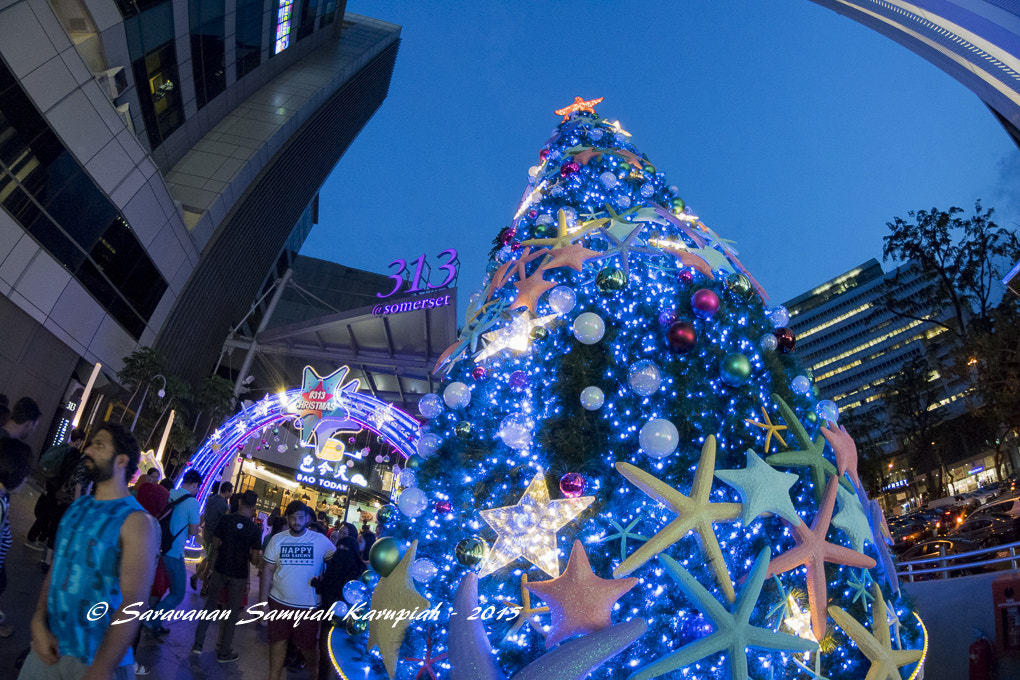 Nikon D3300 + Samyang 8mm F3.5 Aspherical IF MC Fisheye sample photo. Christmas tree photography