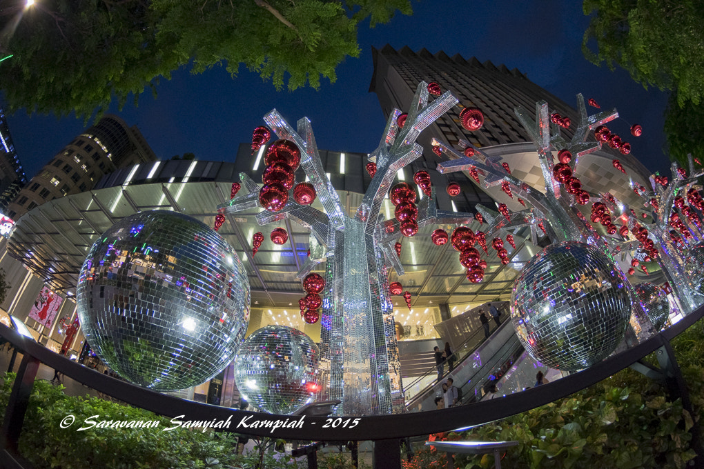 Nikon D3300 + Samyang 8mm F3.5 Aspherical IF MC Fisheye sample photo. Christmas decorations photography