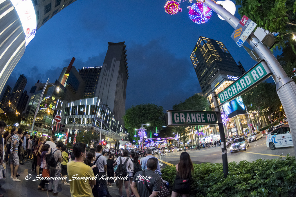 Nikon D3300 + Samyang 8mm F3.5 Aspherical IF MC Fisheye sample photo. Waiting to cross photography