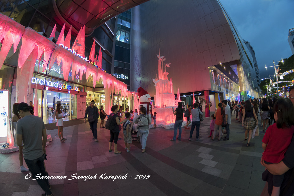 Nikon D3300 + Samyang 8mm F3.5 Aspherical IF MC Fisheye sample photo. Pink photography