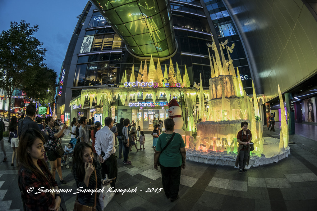 Nikon D3300 + Samyang 8mm F3.5 Aspherical IF MC Fisheye sample photo. Enjoying christmas deco photography