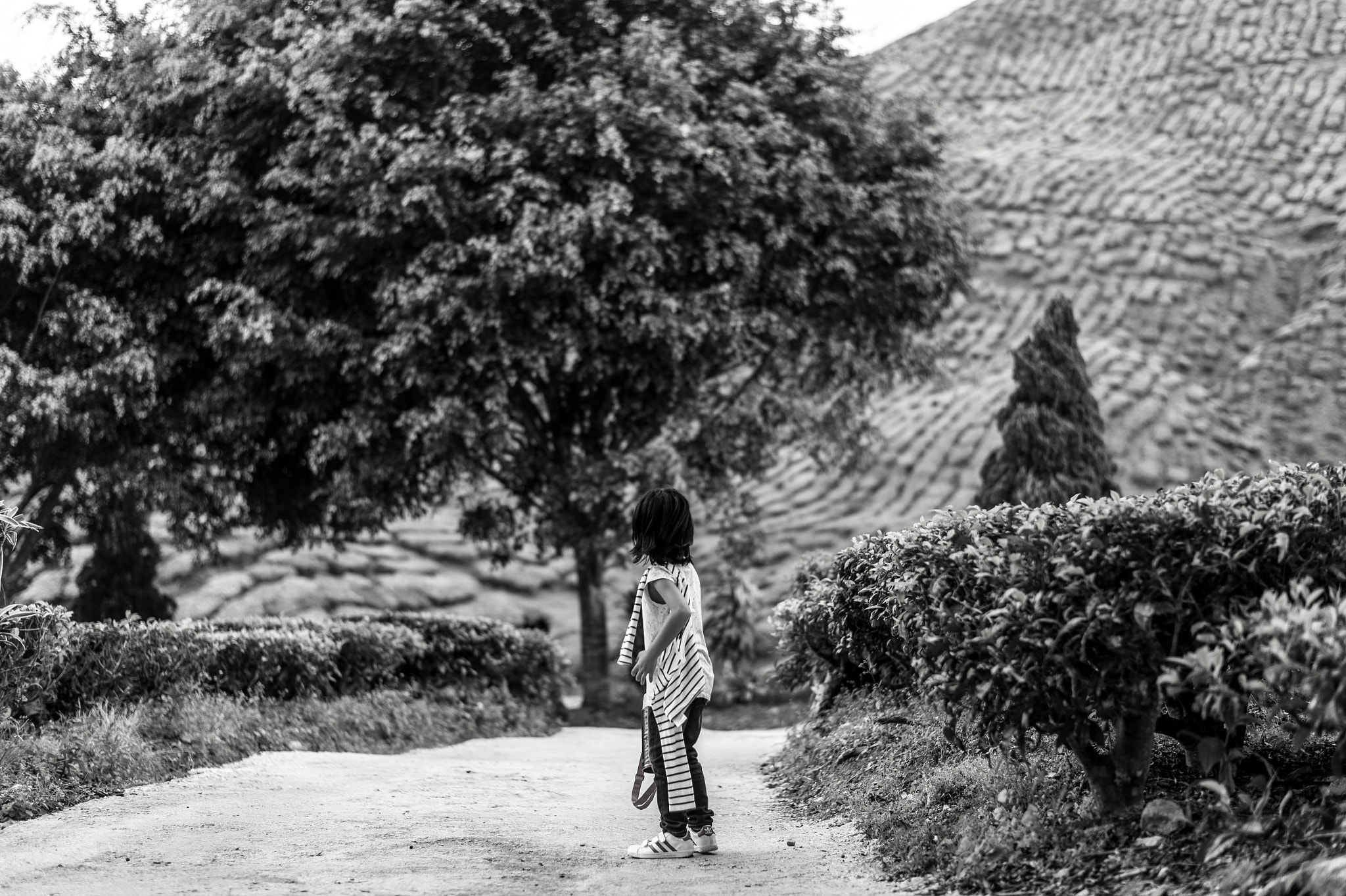 Nikon D4 + Nikon AF-S Nikkor 58mm F1.4G sample photo. My daughter at cameron highlands photography