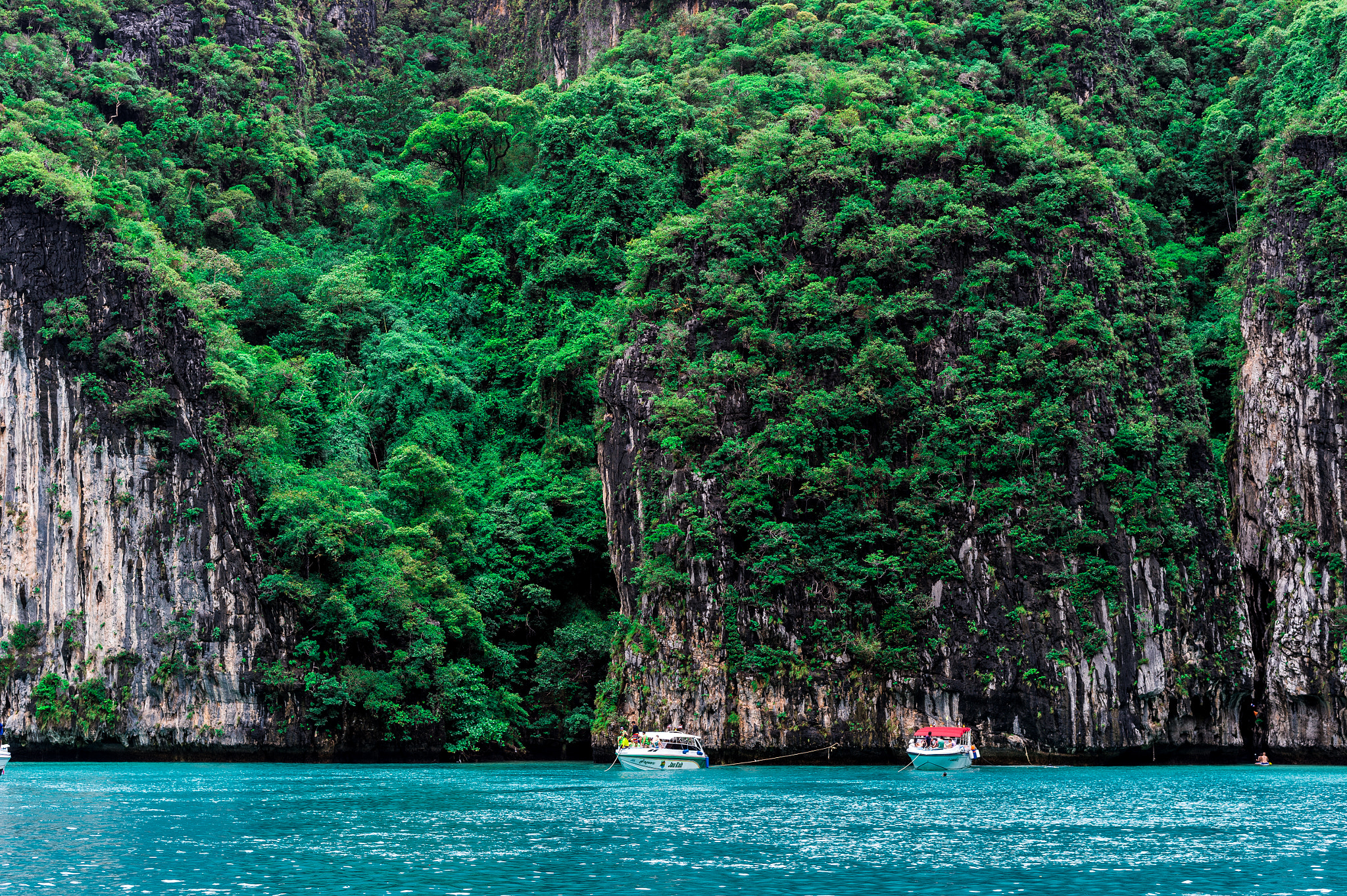 Nikon D4 + Nikon AF-S Nikkor 58mm F1.4G sample photo. Phiphi island photography