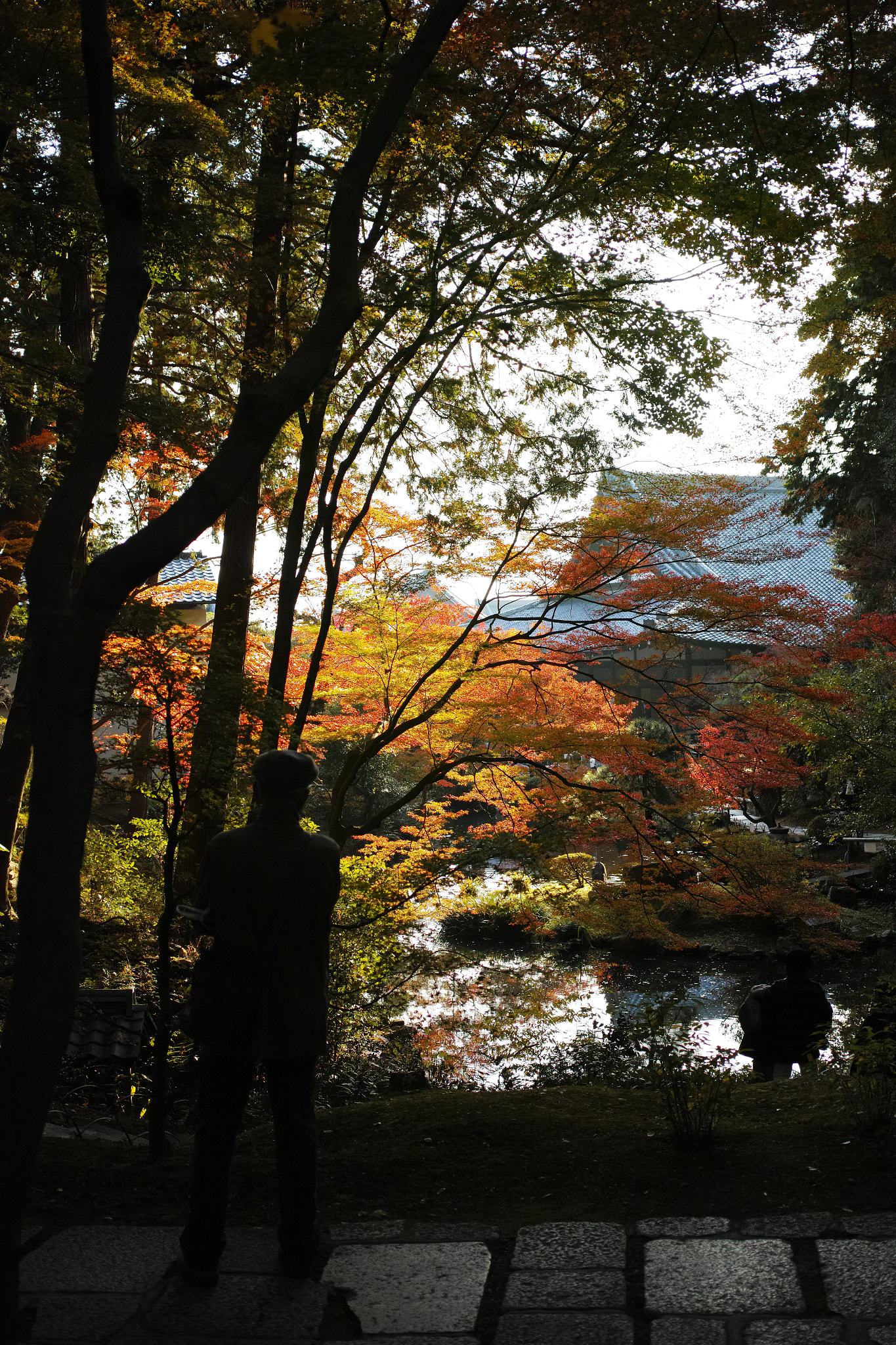 1007 sample photo. Still photography