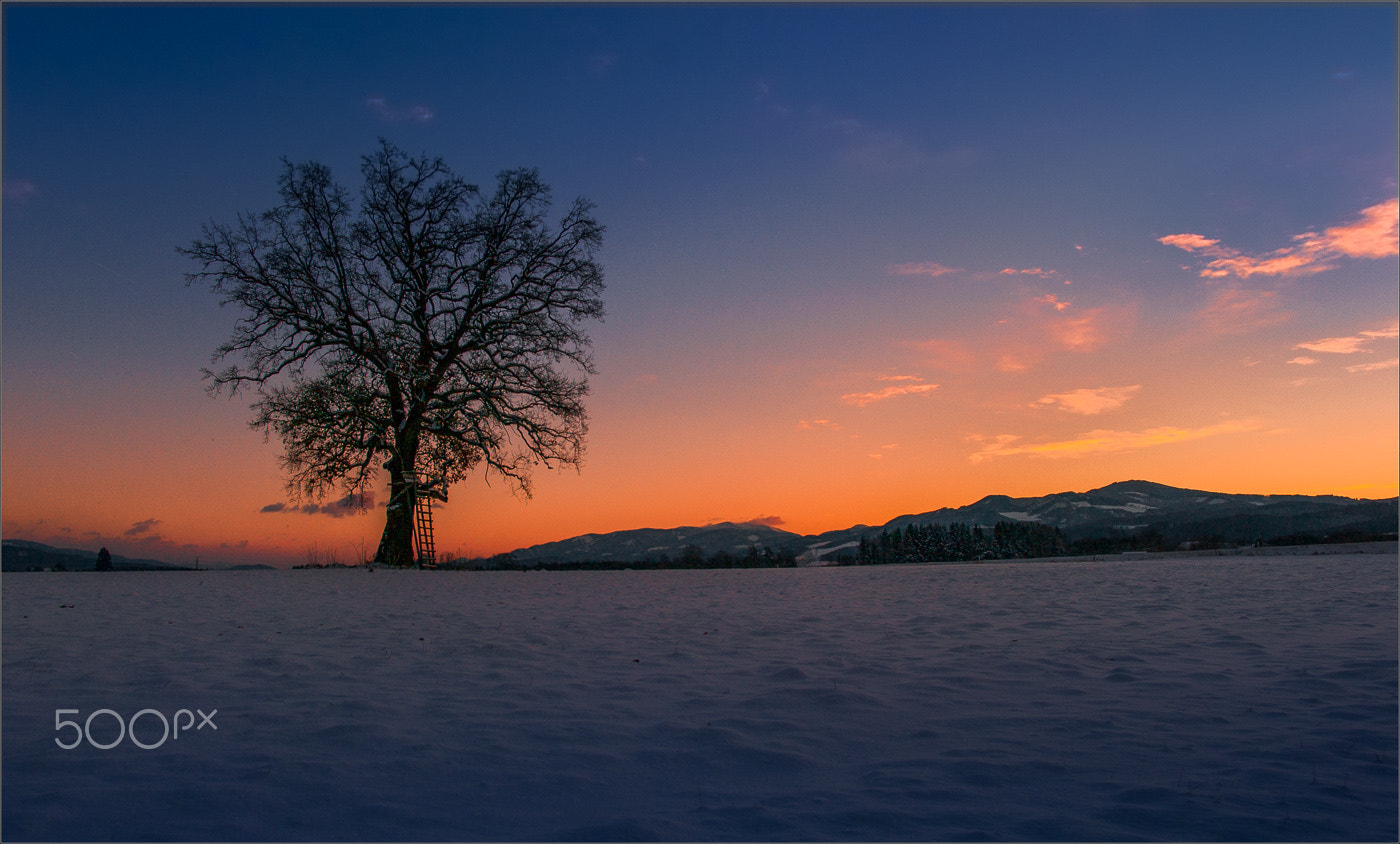 Pentax K20D + Pentax smc DA 14mm F2.8 ED (IF) sample photo. Winterbuche photography