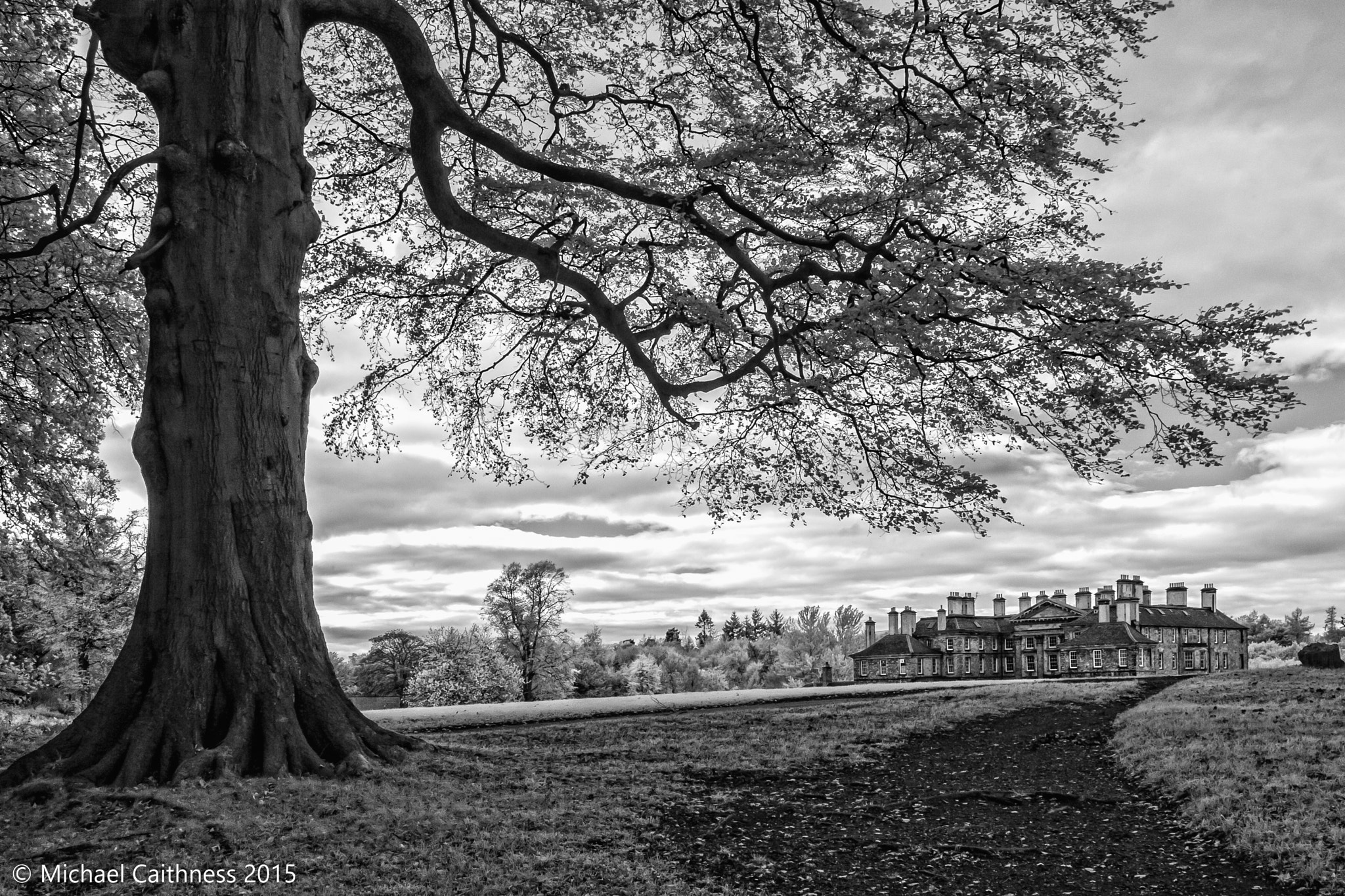 Canon EOS-1D Mark II sample photo. Dalkeith palace photography