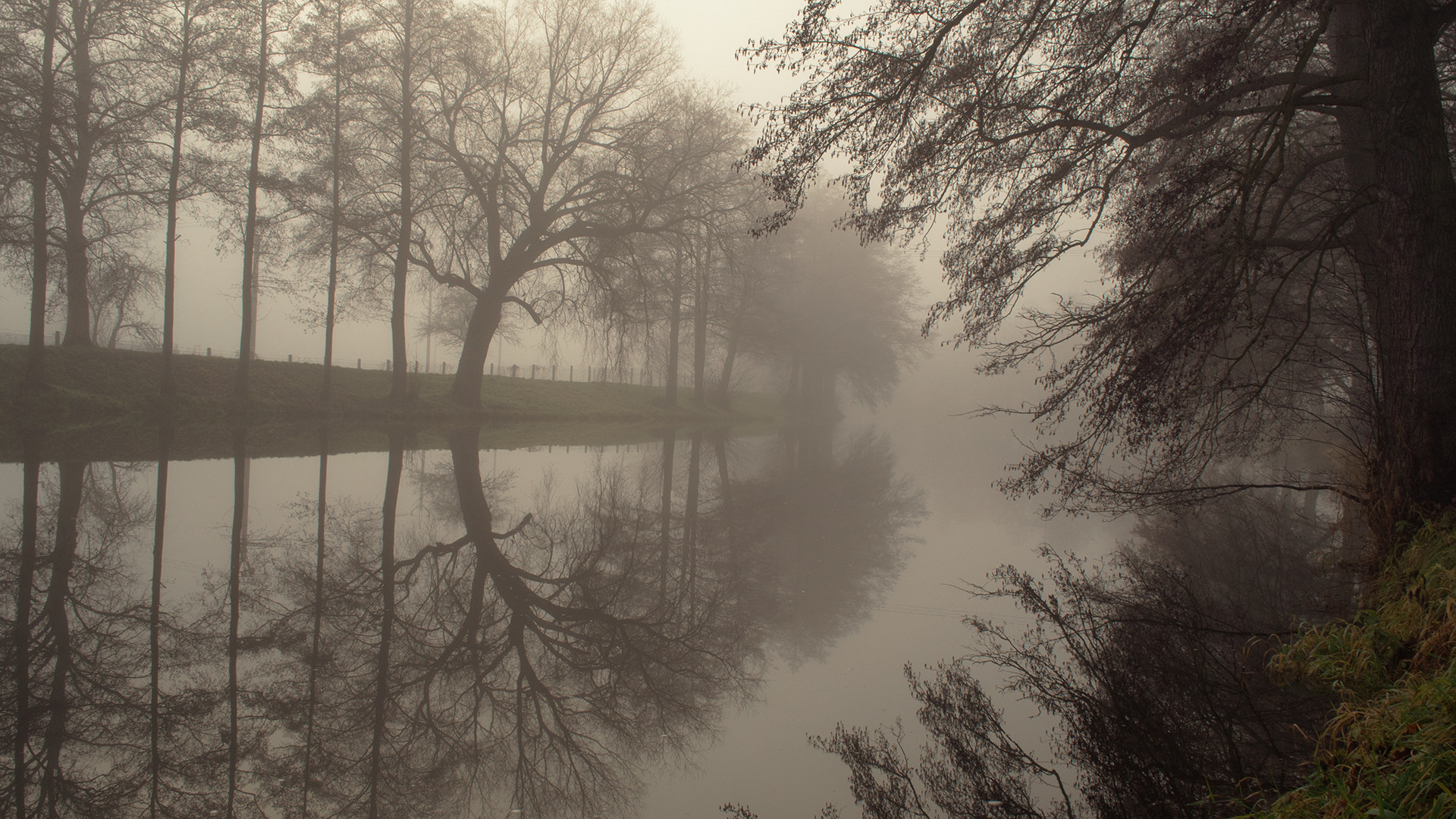 Olympus PEN E-PM2 sample photo. River in fog photography