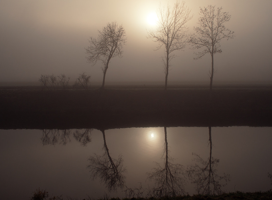 Olympus PEN E-PM2 sample photo. Trees over the river. photography