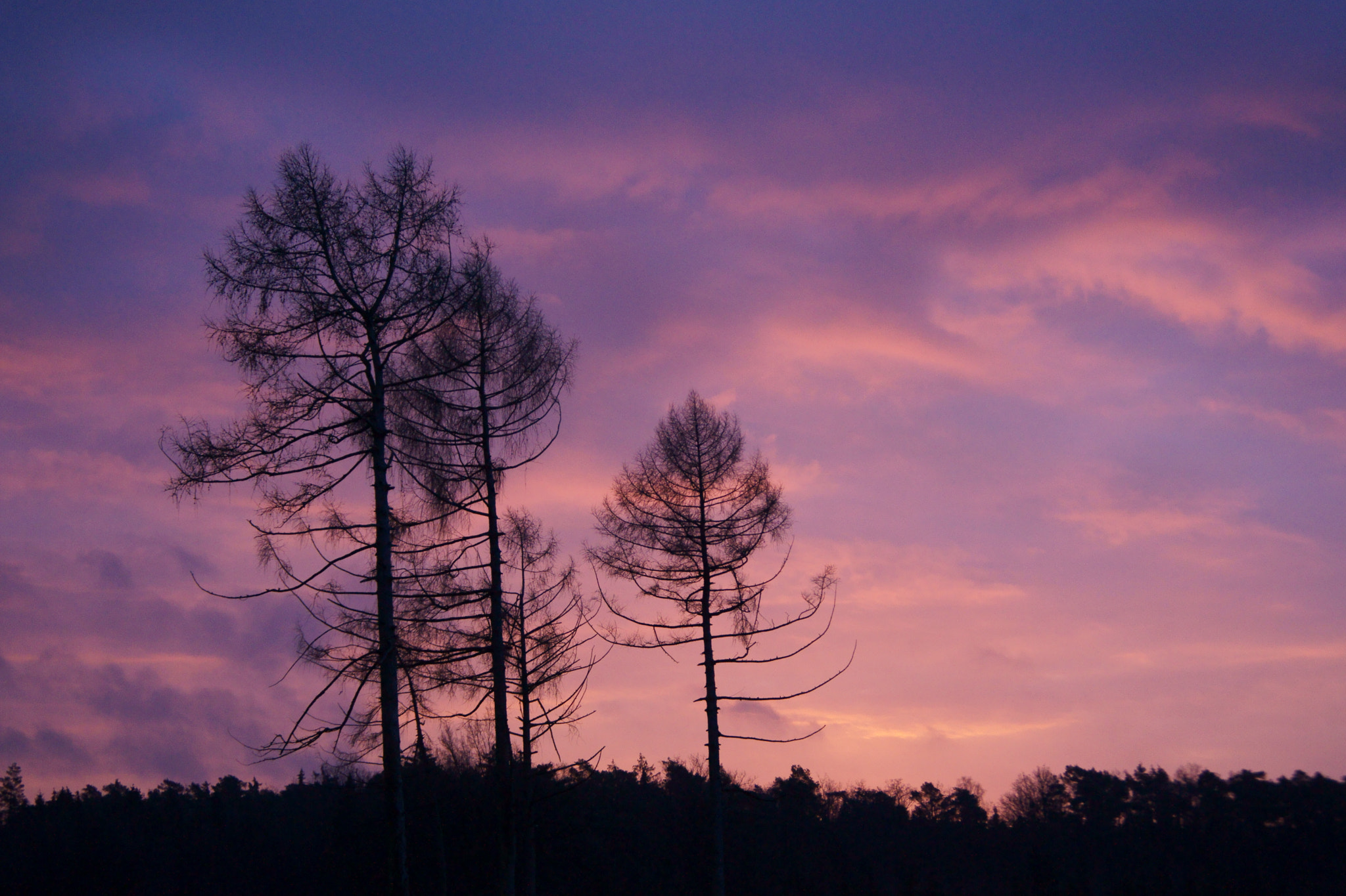 Minolta AF 35-70mm F3.5-4.5 [II] sample photo. Pink dawn photography