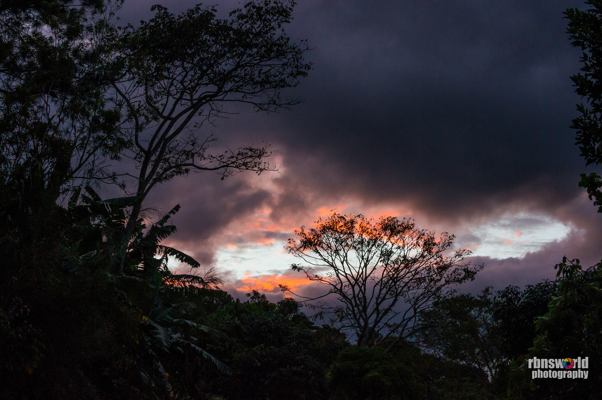 Sony Alpha DSLR-A580 + Sony DT 50mm F1.8 SAM sample photo. Ripped sky photography