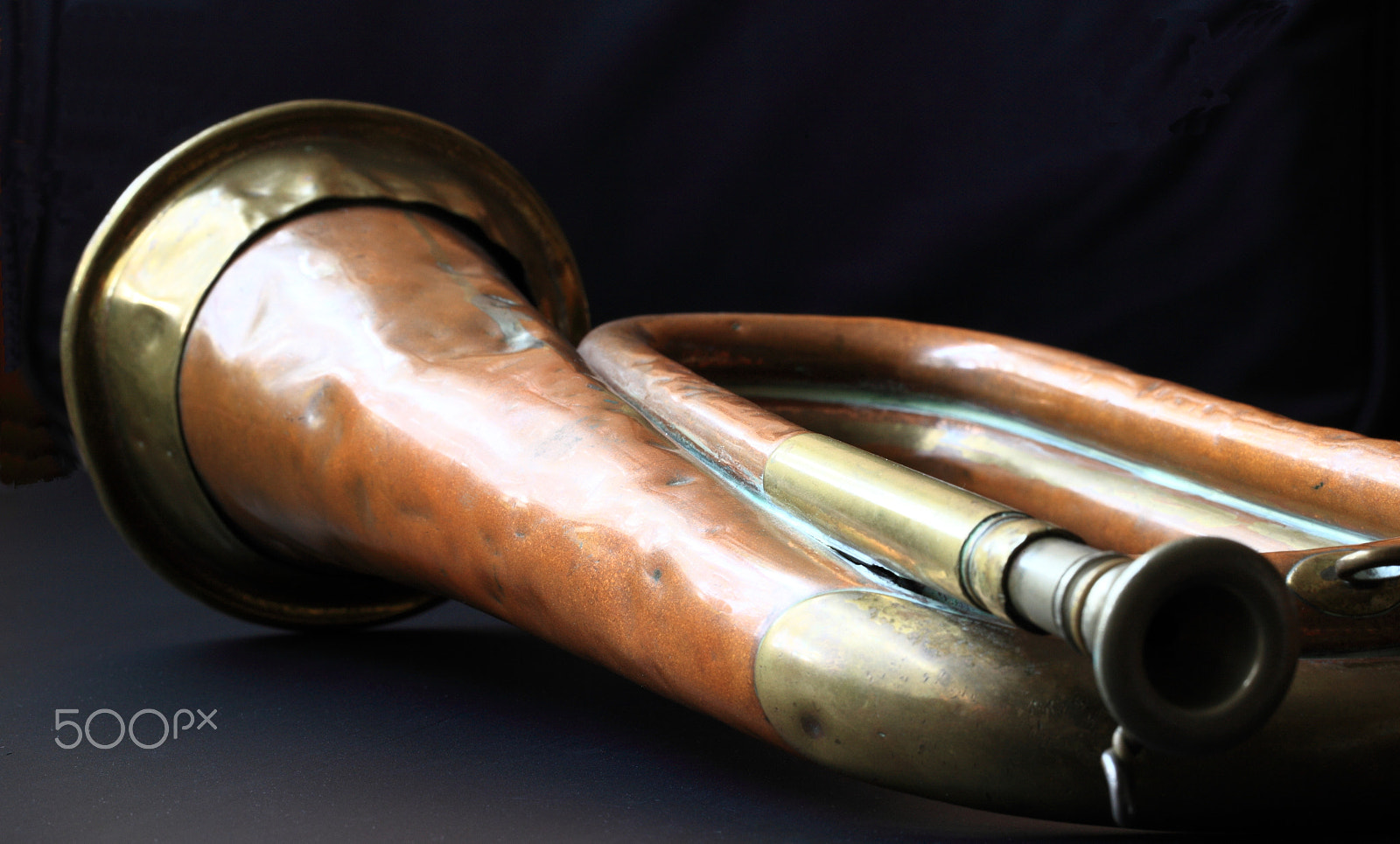 Canon EF 100mm F2.8L Macro IS USM sample photo. Bugle photography